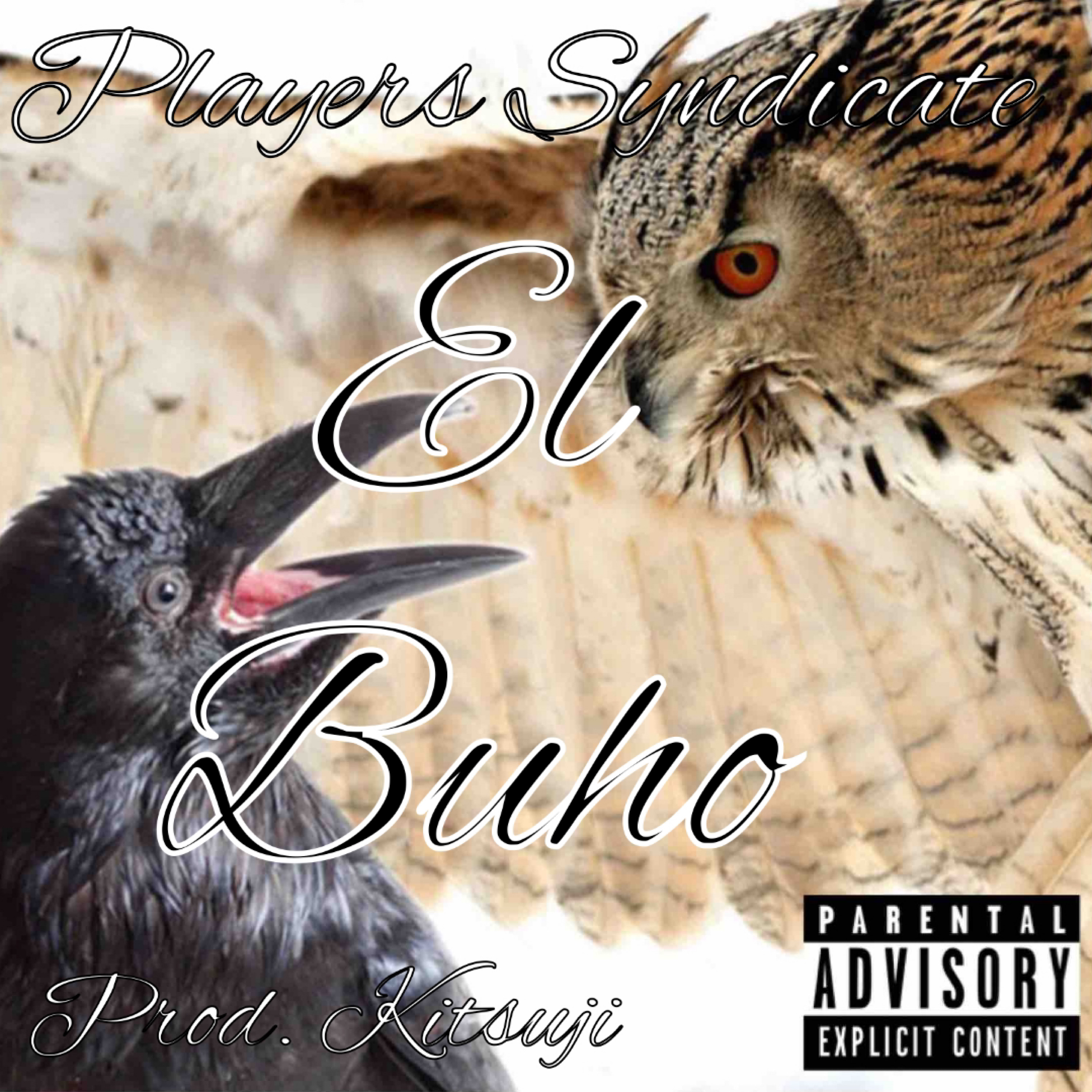 Buho artwork