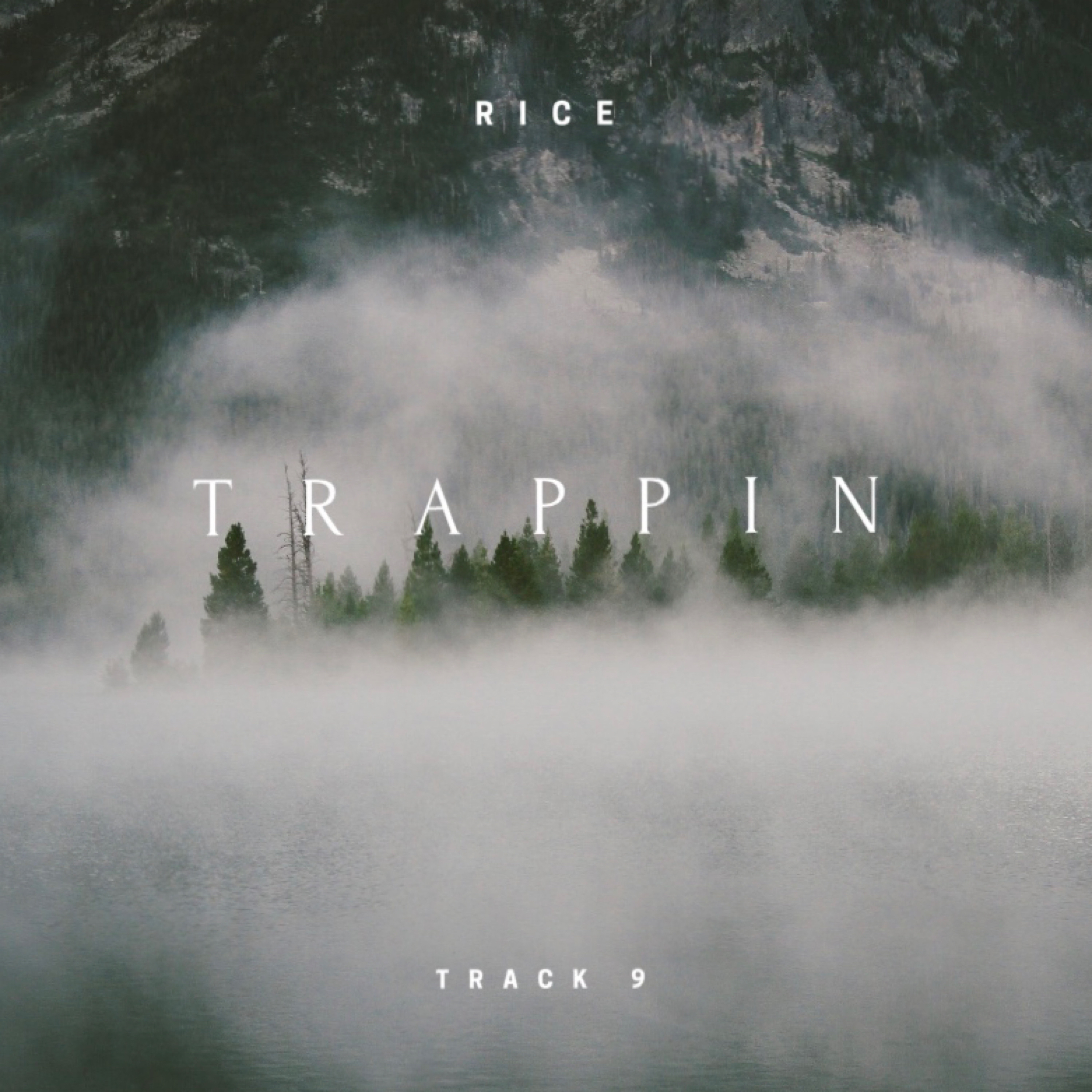 Trappin Track 9 artwork