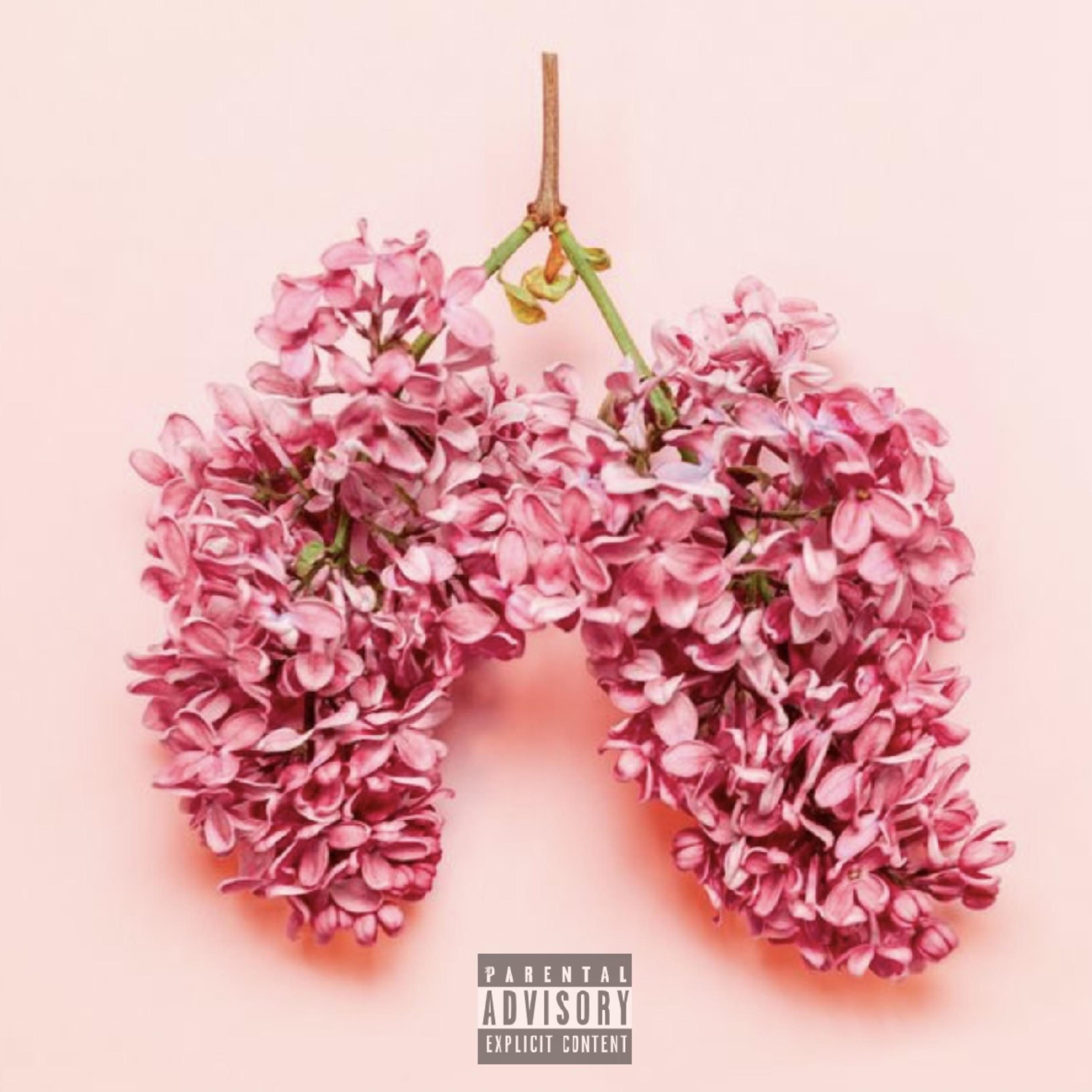 ALLERGY SEASON artwork
