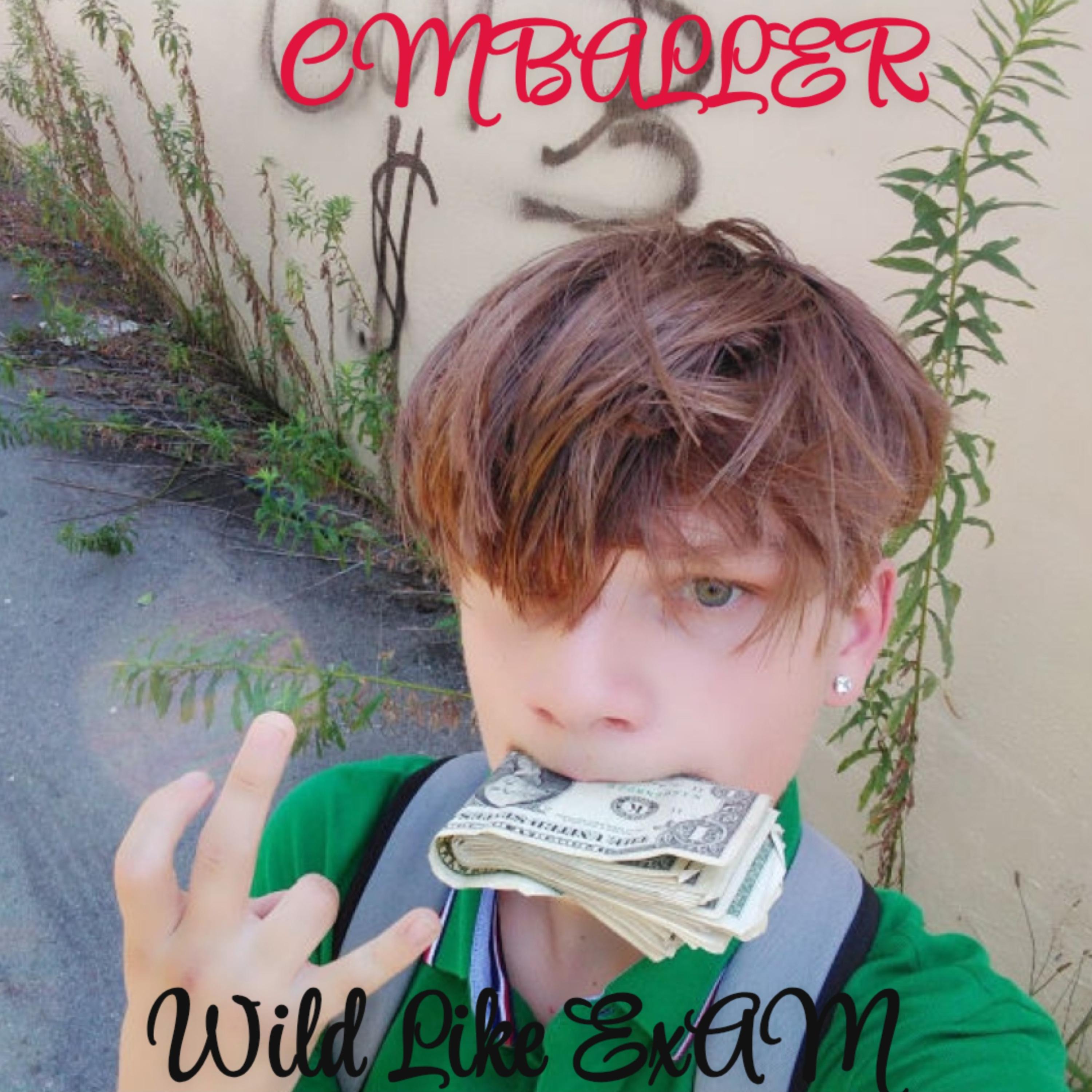Wild Like Exam by Cmballer cover art