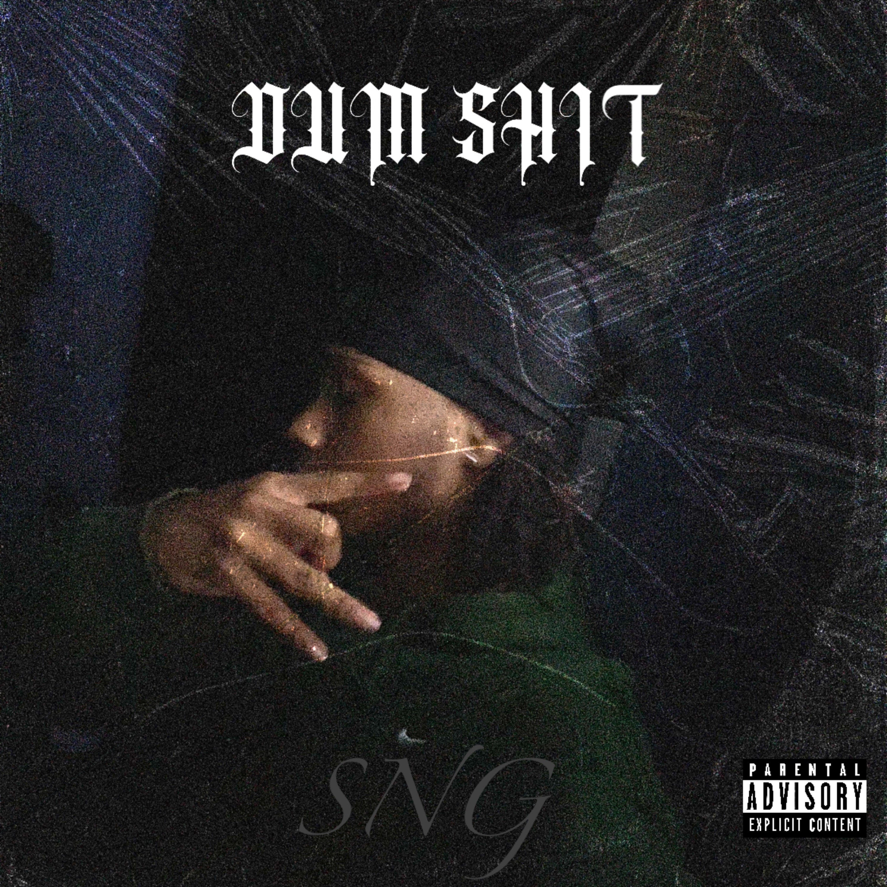 DUM SHIT artwork