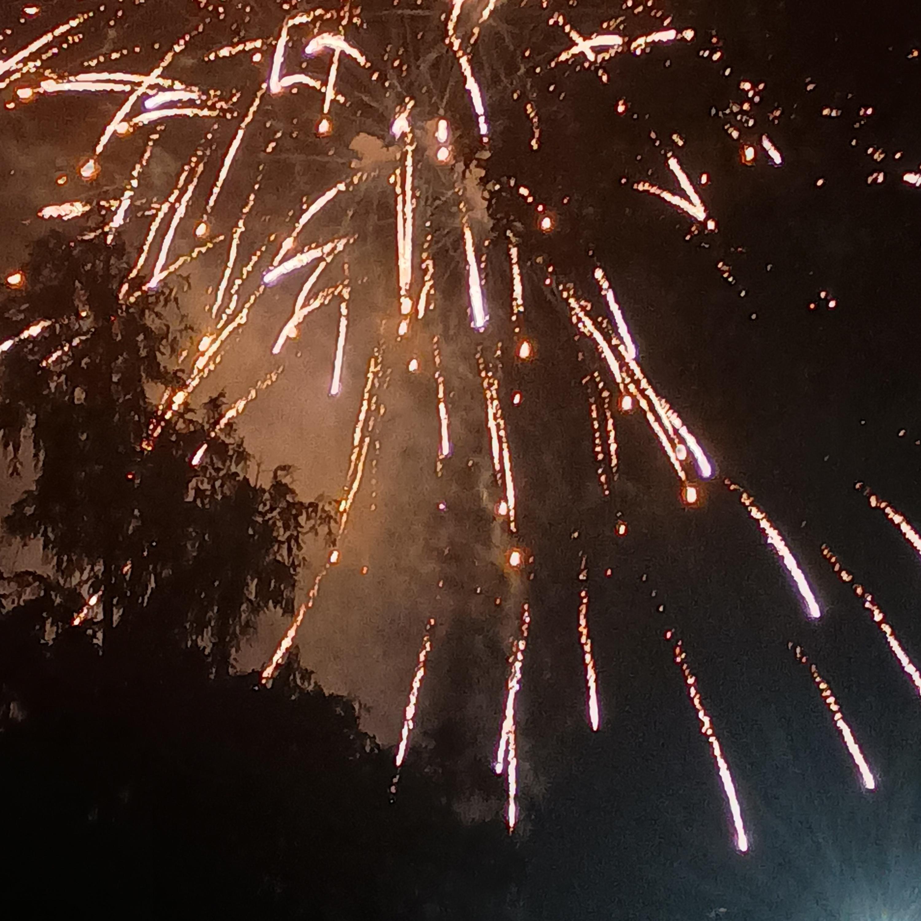 Firecracker artwork