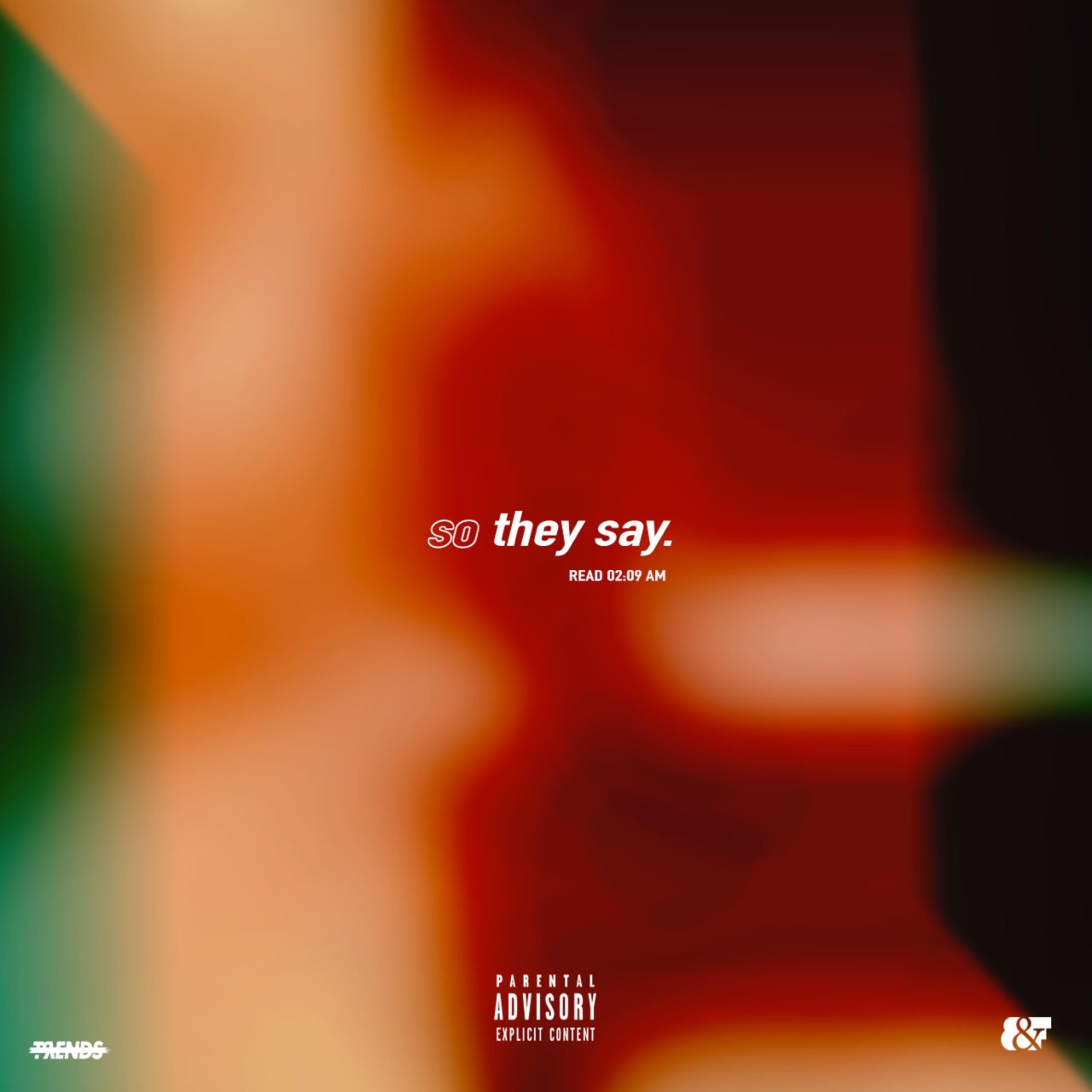 SO THEY SAY by BDESGOTWIFI