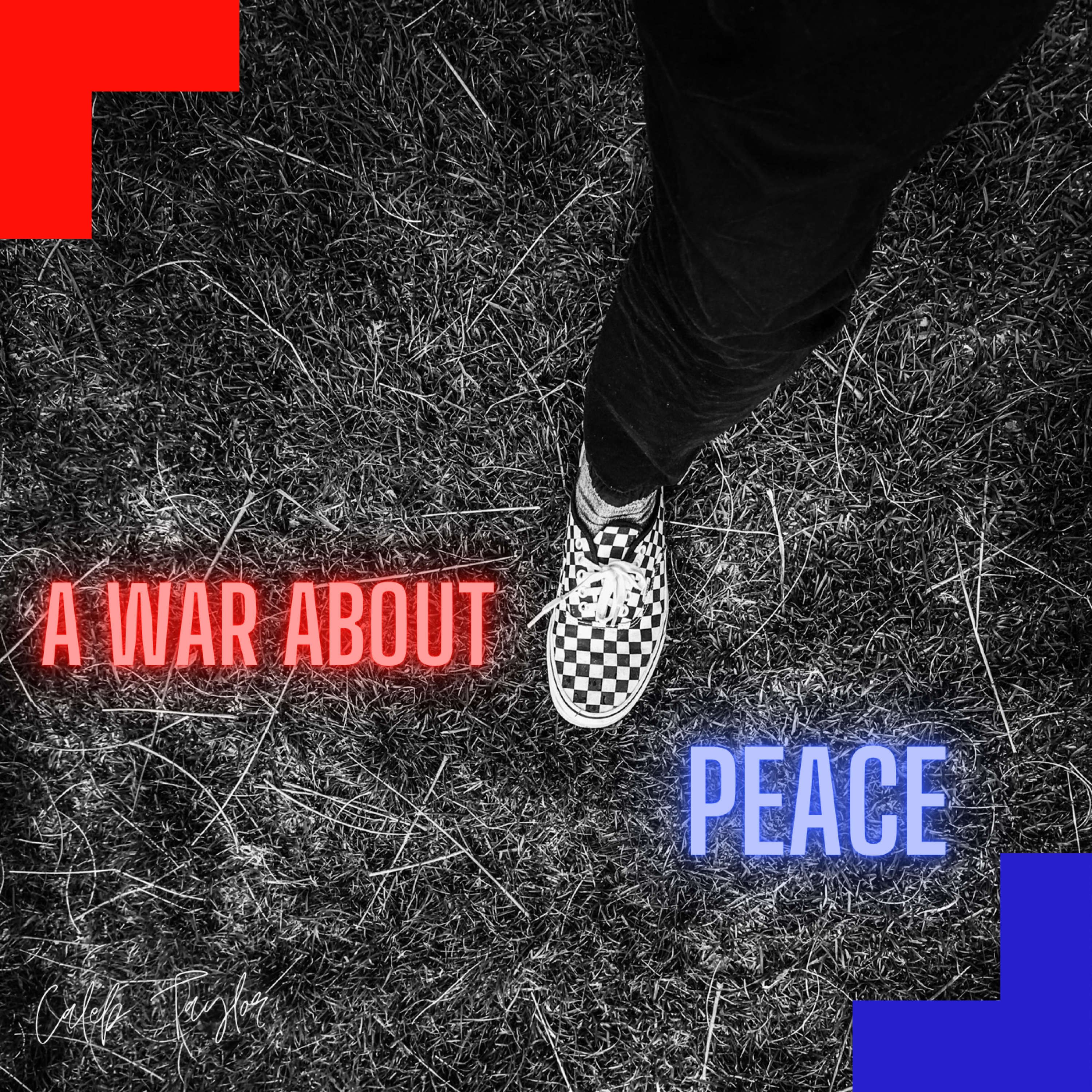 A War About Peace artwork