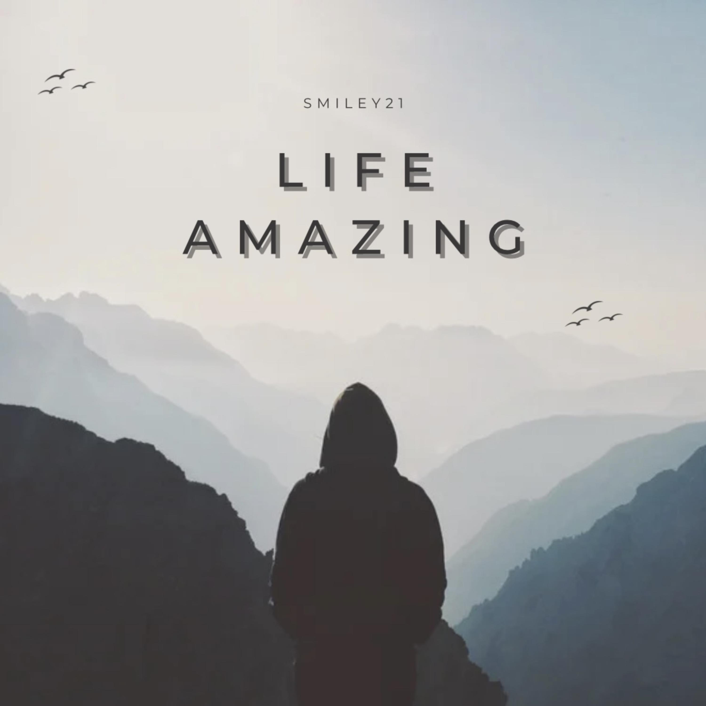 Life Amazing artwork