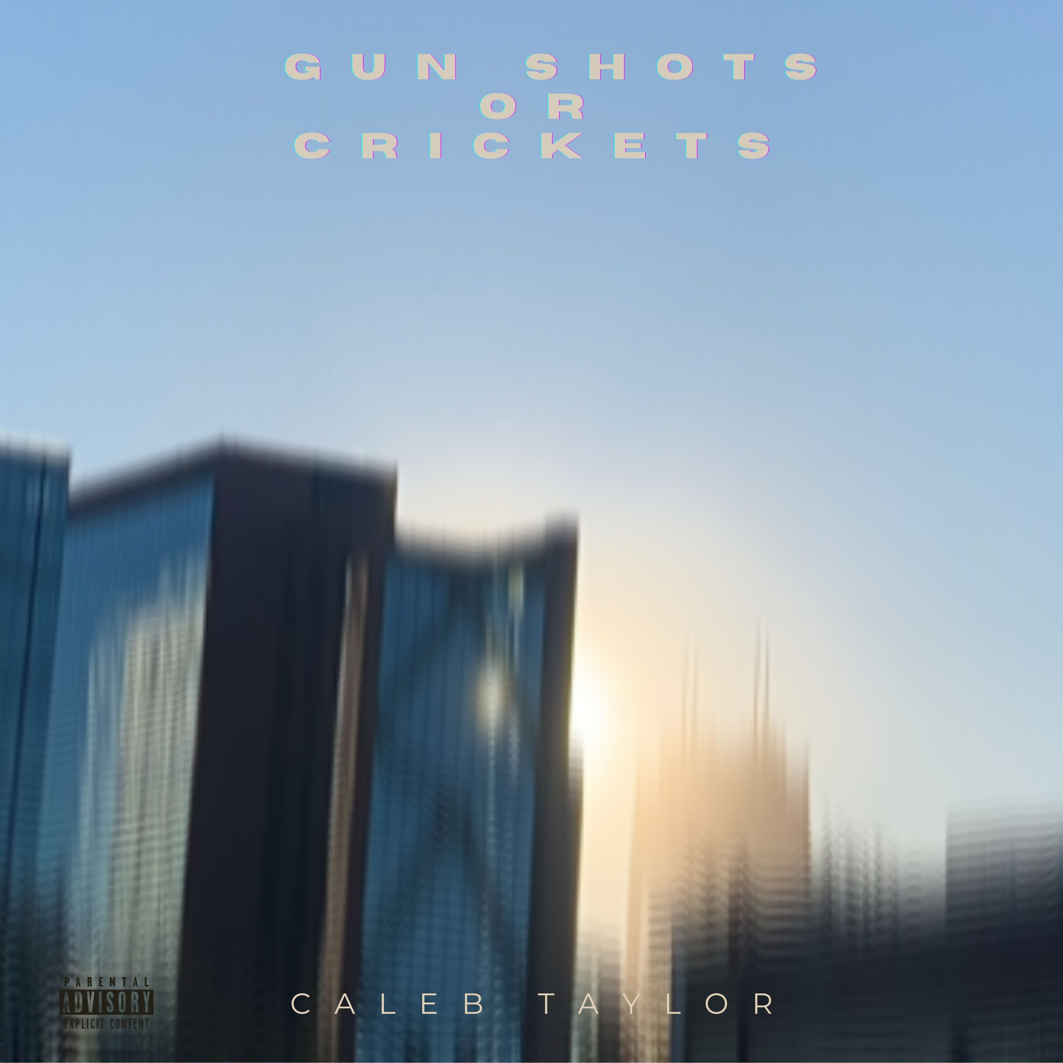 Gun Shots Or Crickets (New Friends) artwork