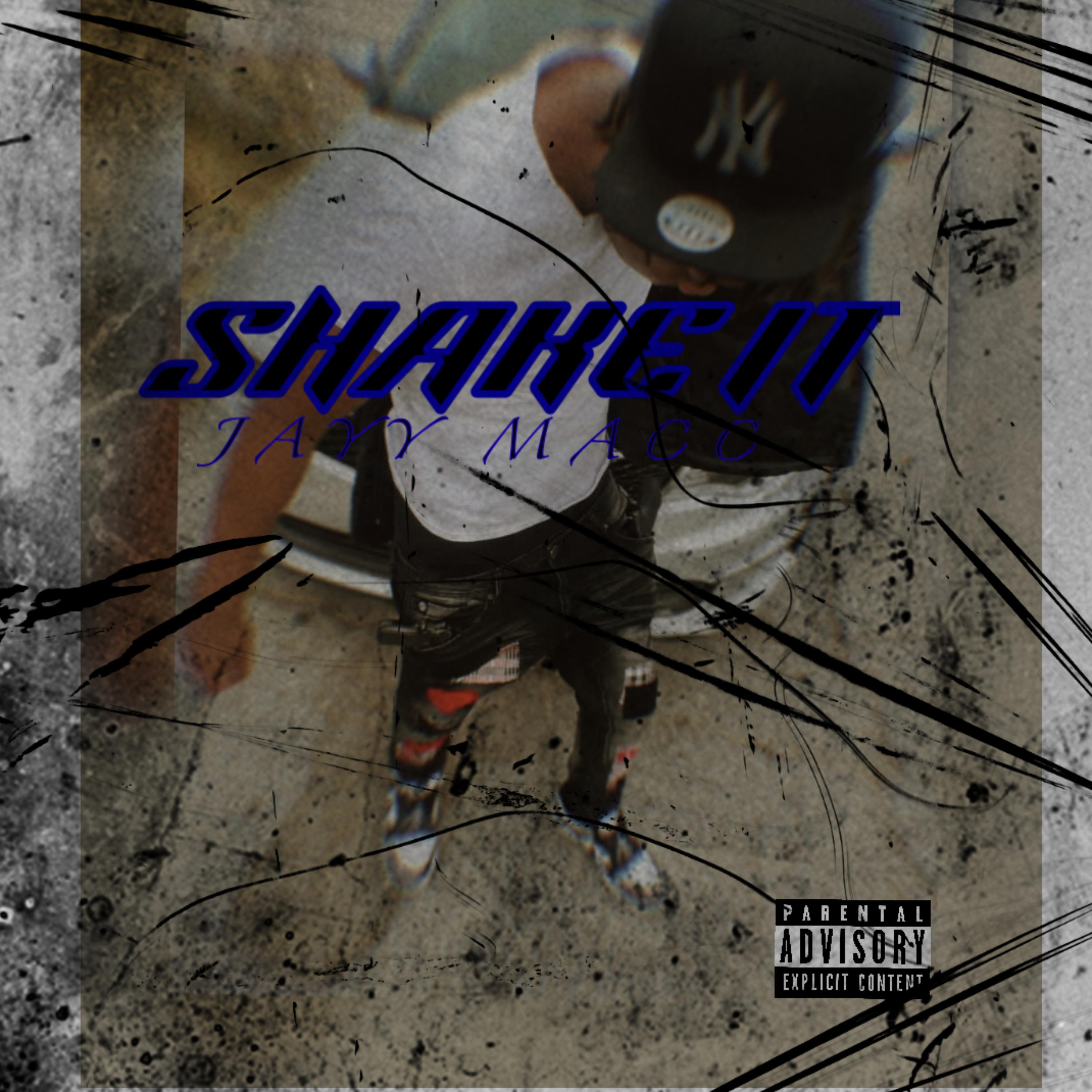 SHAKE IT artwork