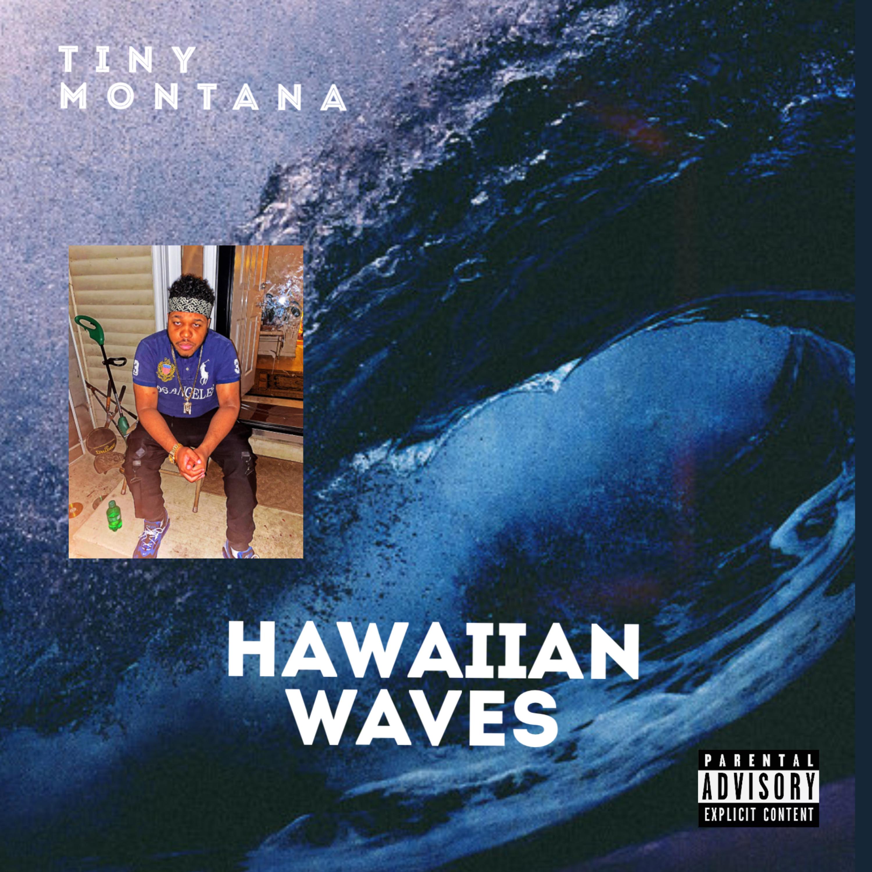 Hawaiian Waves by Chino Vapors cover art