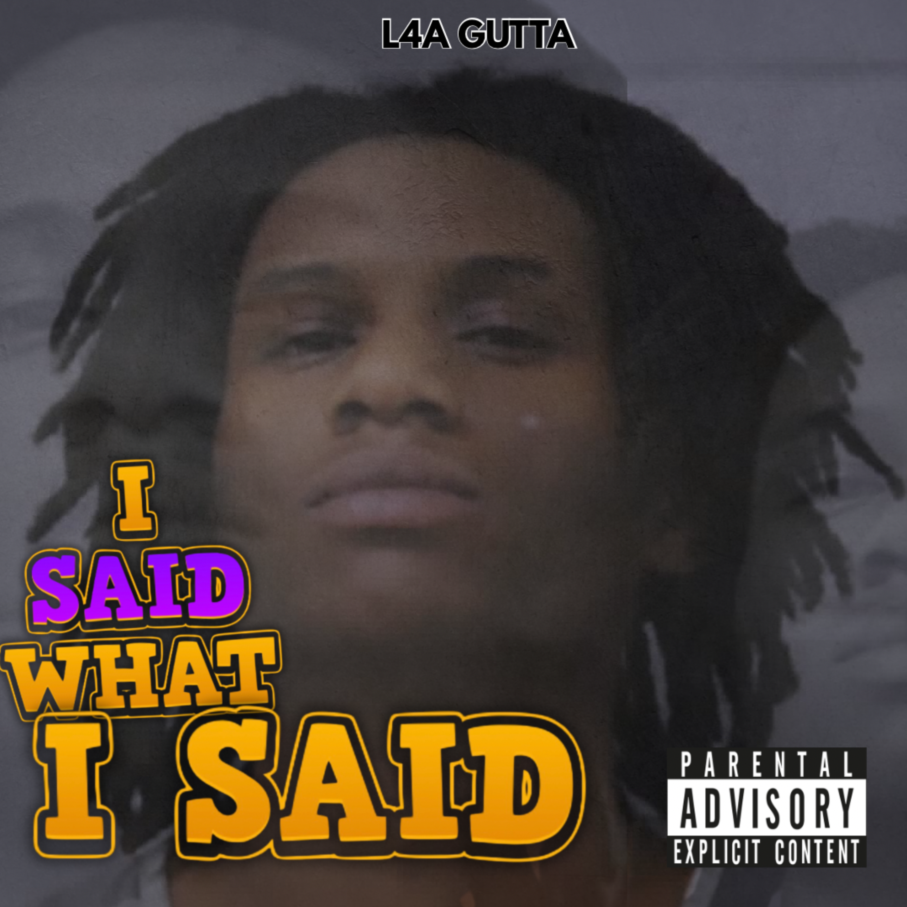 I Said What I Said artwork