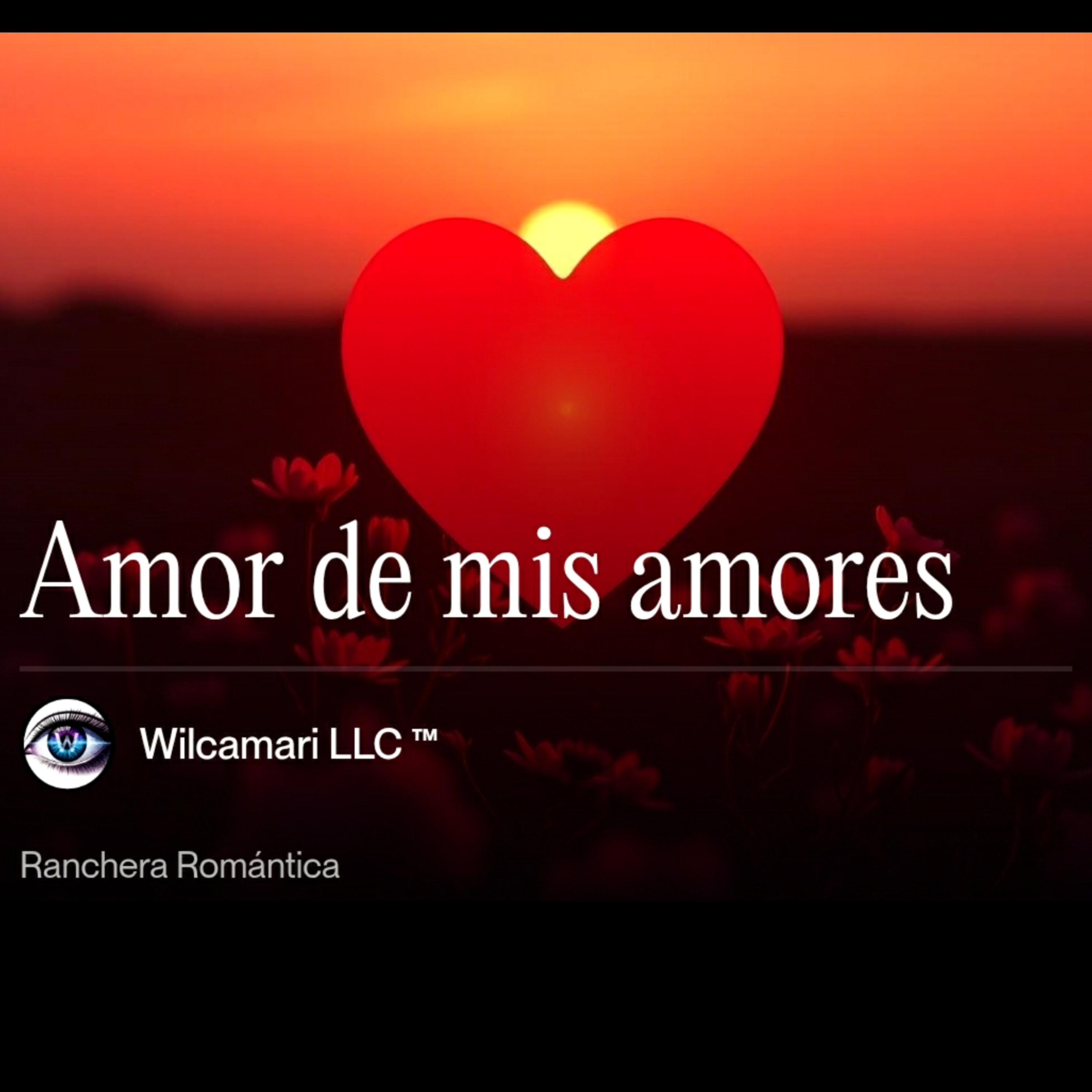 Amor de mis amores artwork