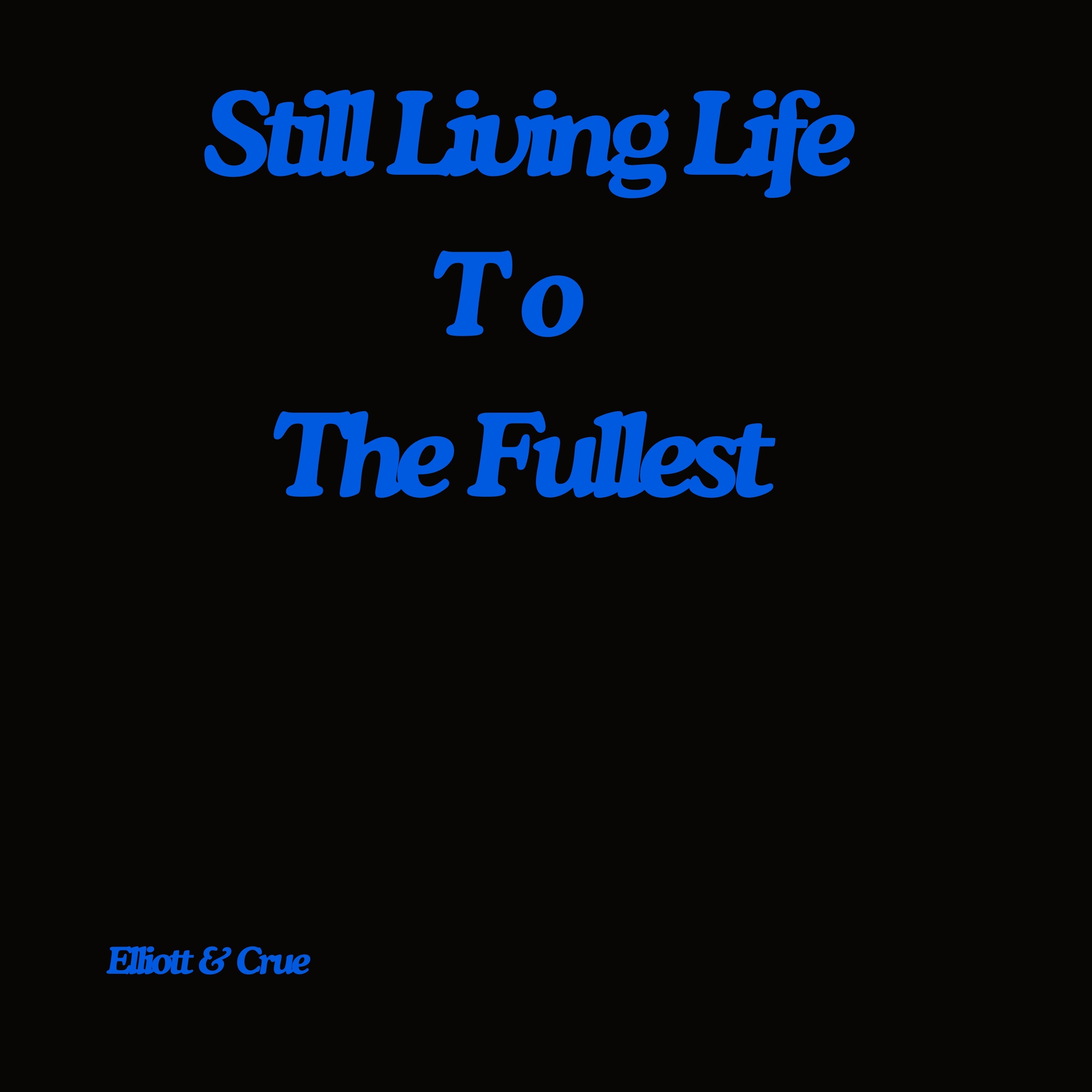 Still Living Life To The Fullest artwork