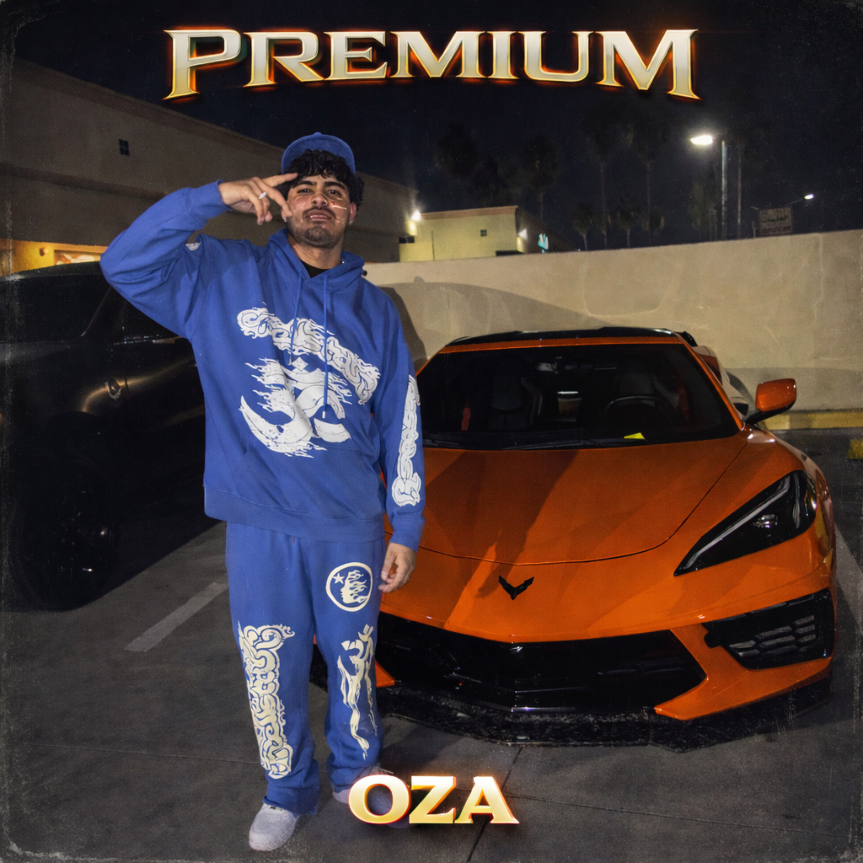 PREMIUM artwork
