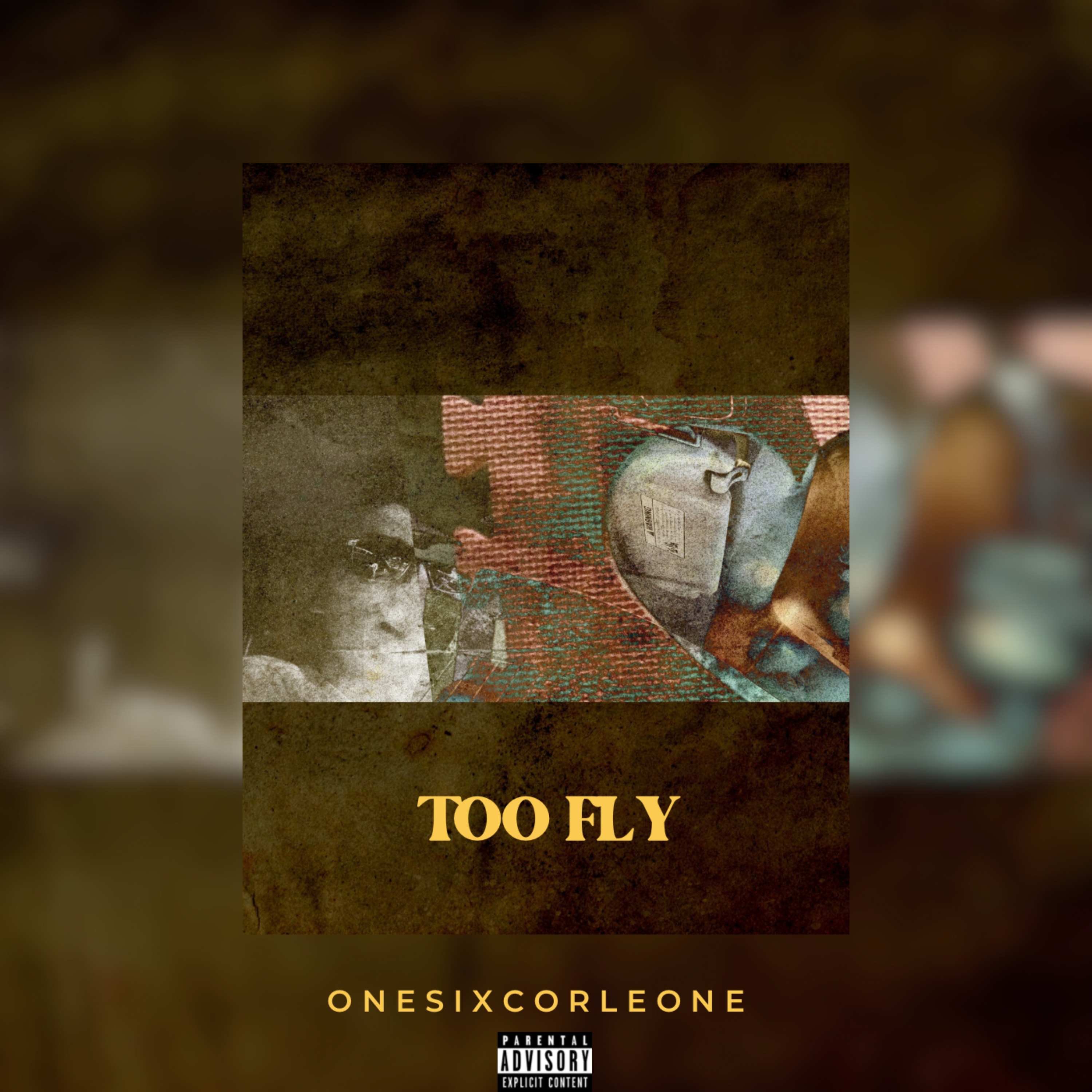 Too Fly artwork
