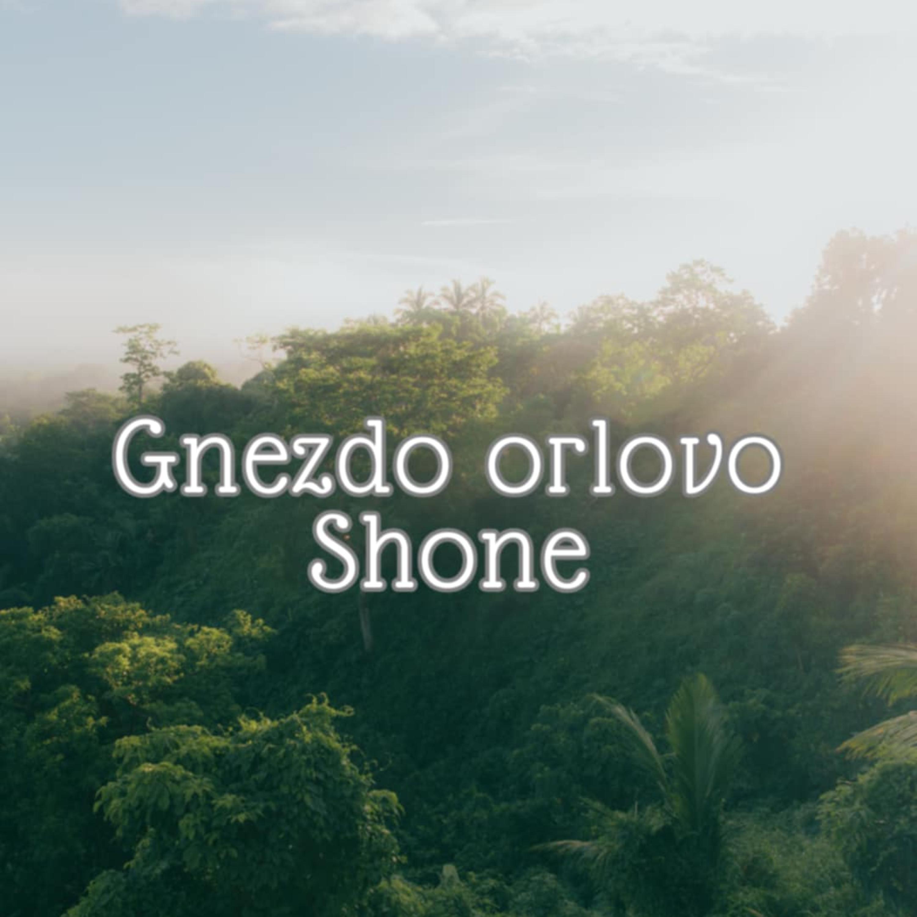 Gnezdo orlovo artwork