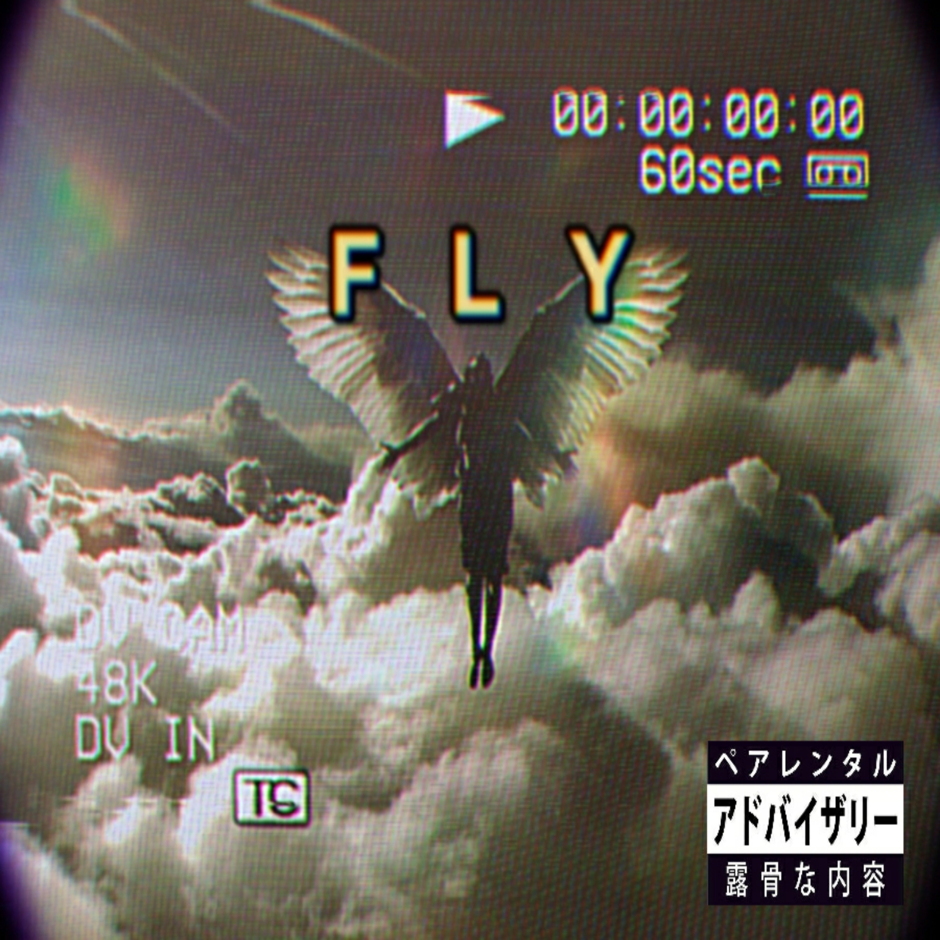 Fly artwork