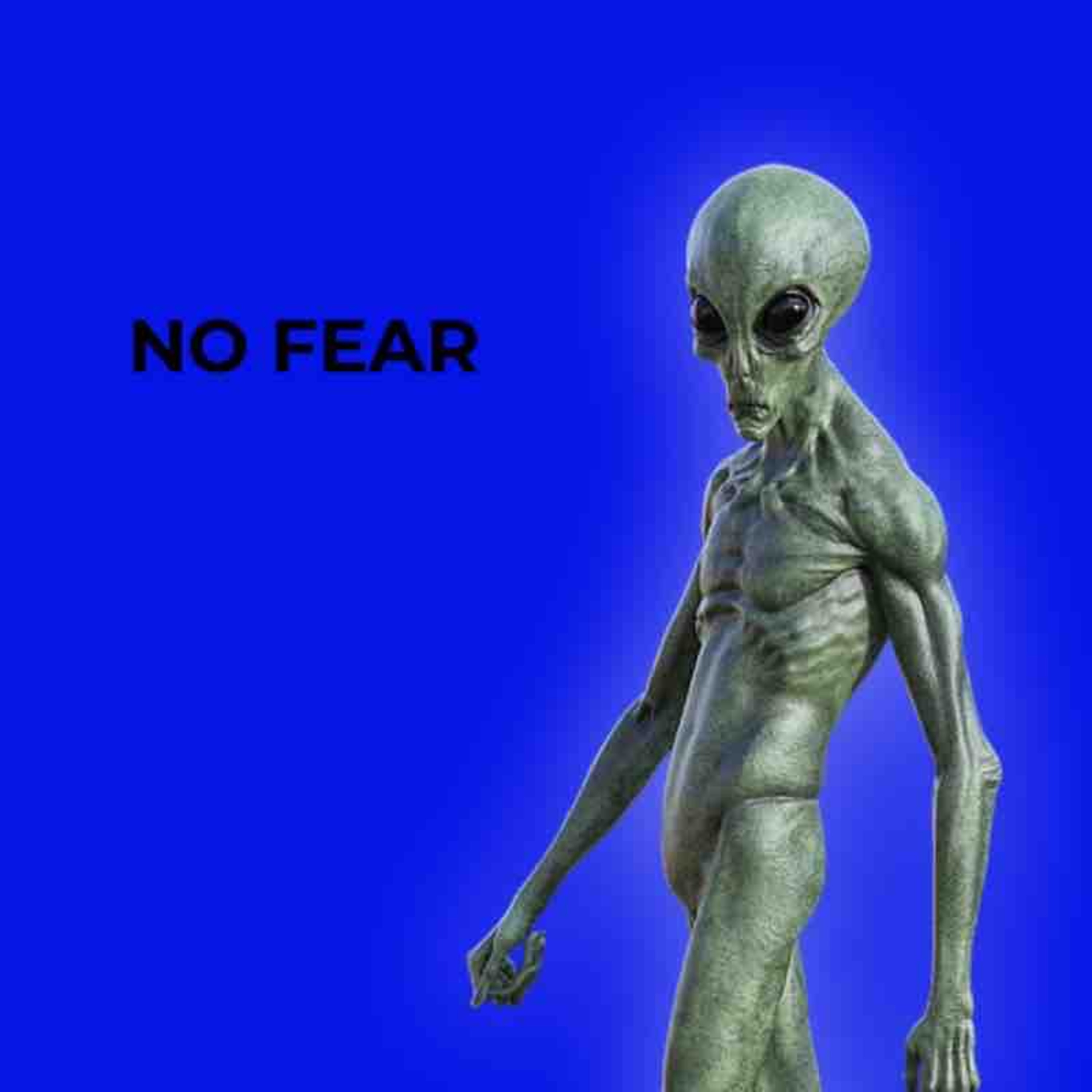 No Fear artwork