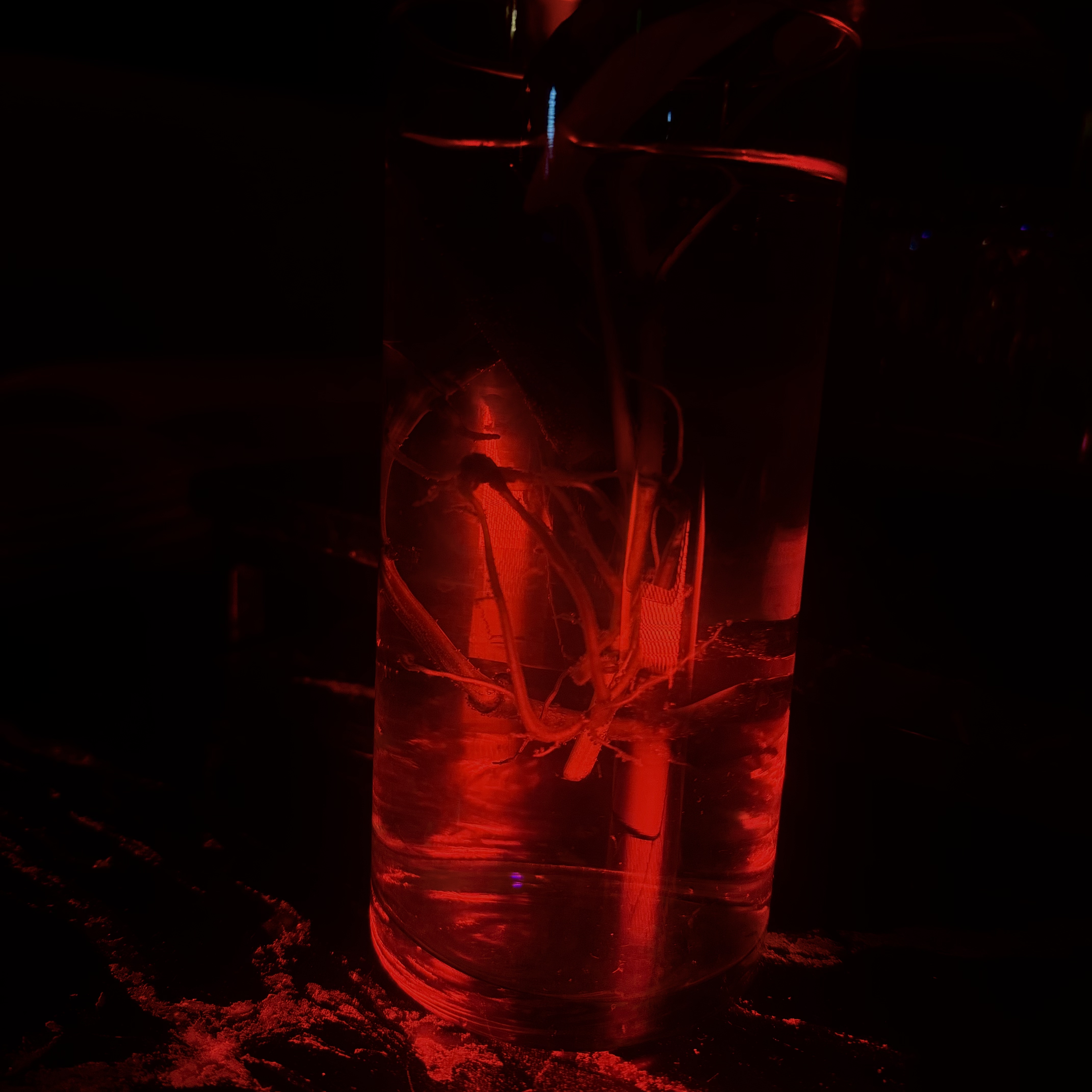 STAY A WHILE artwork