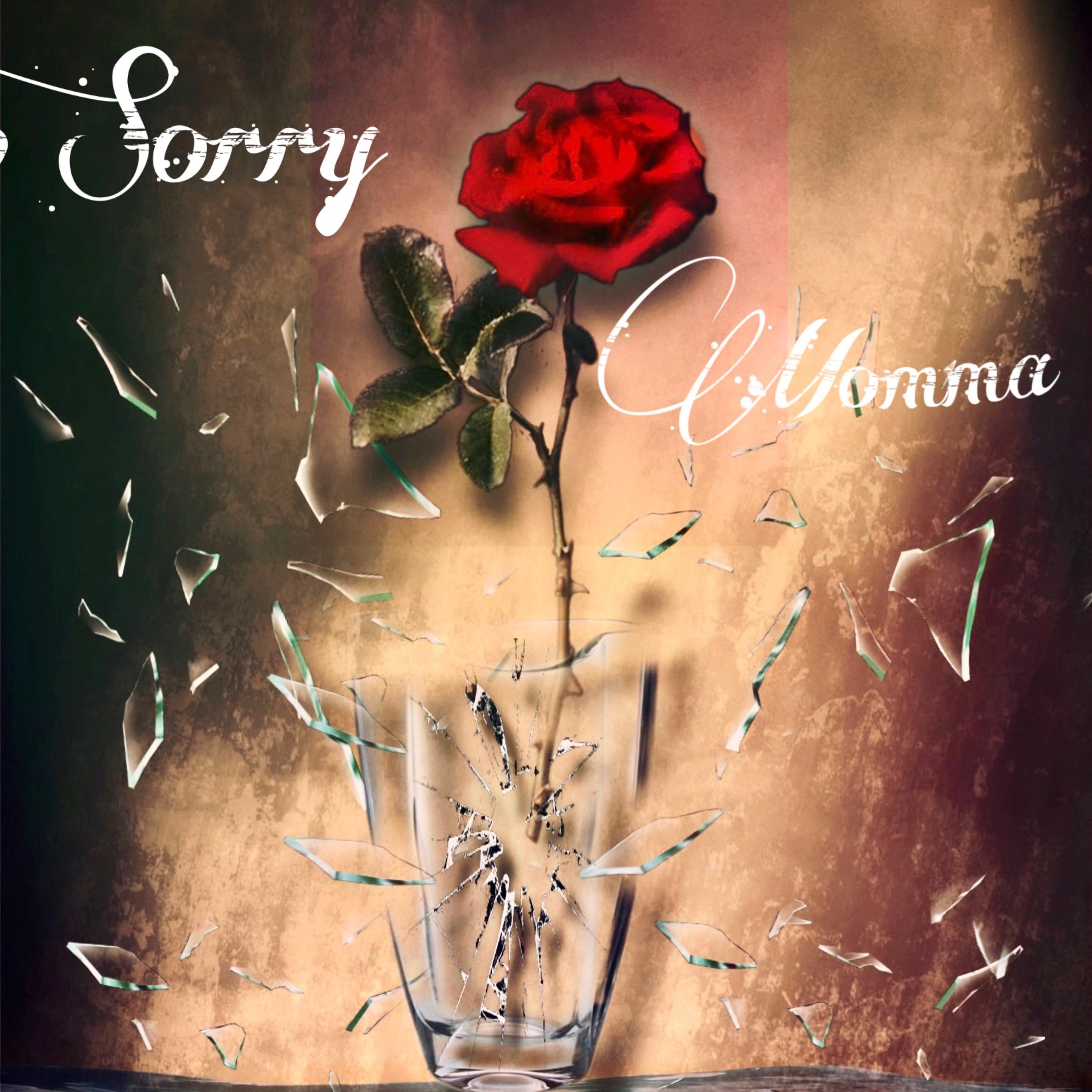 Sorry Momma artwork