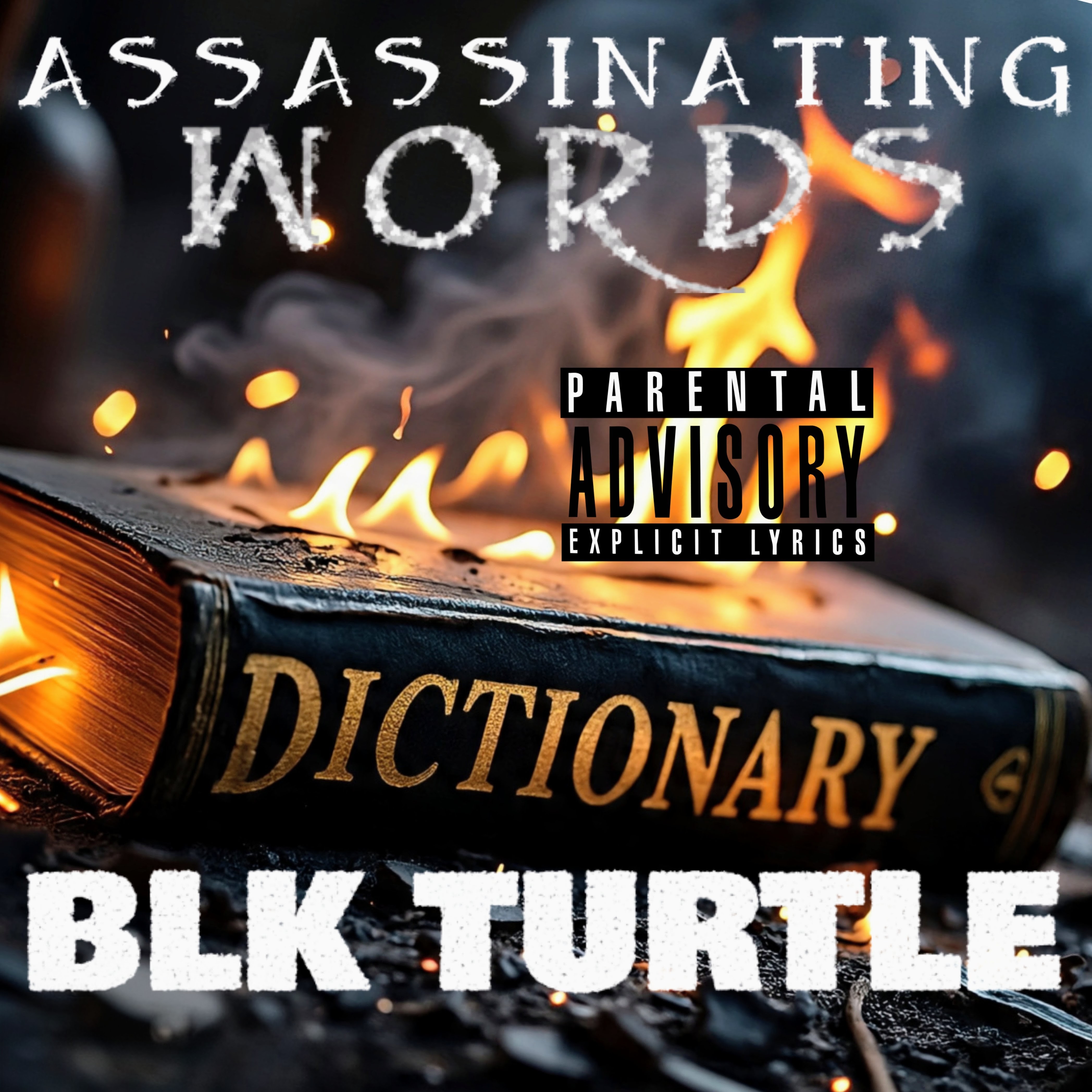 ASSASSINATING WORDS artwork