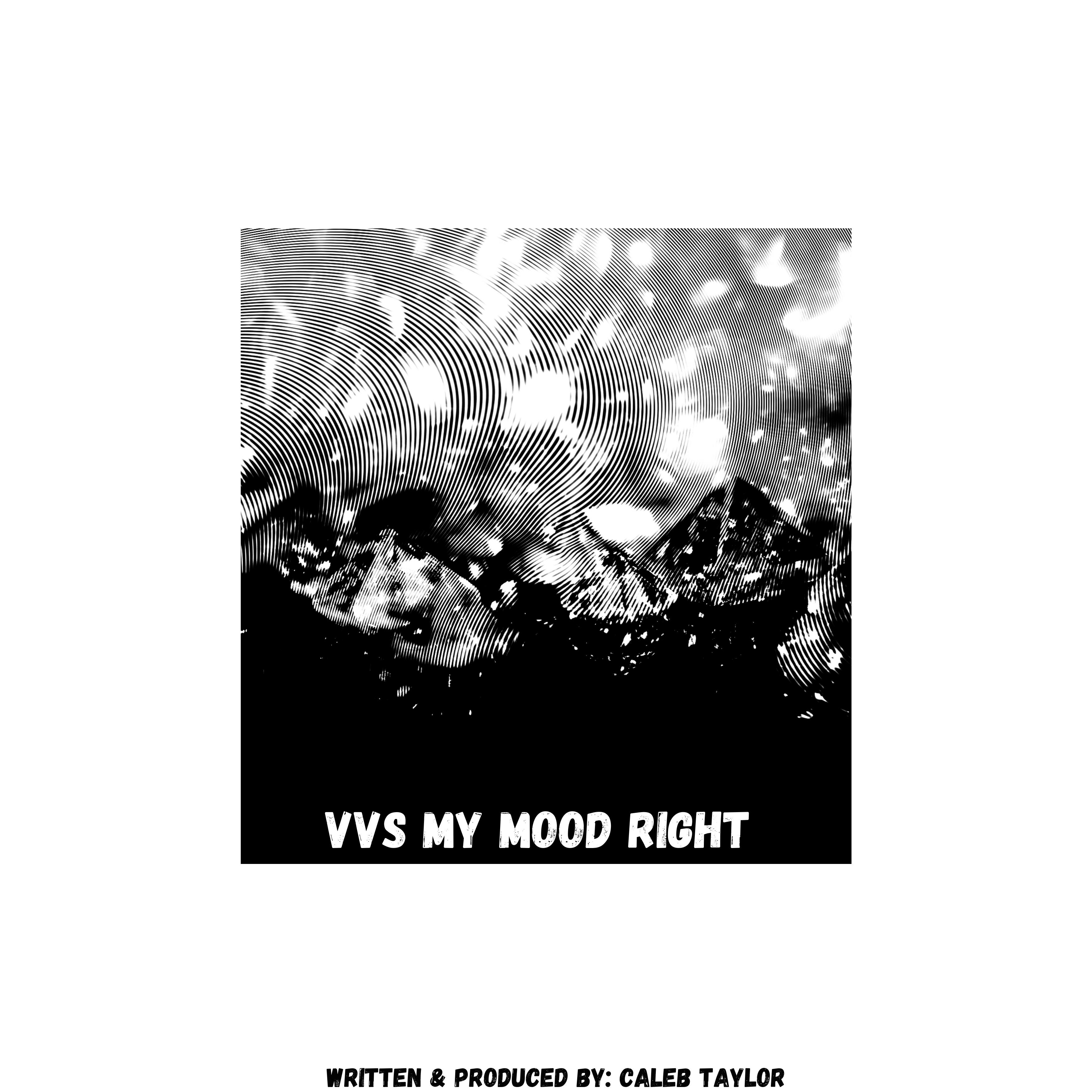 VVS My Mood Right artwork