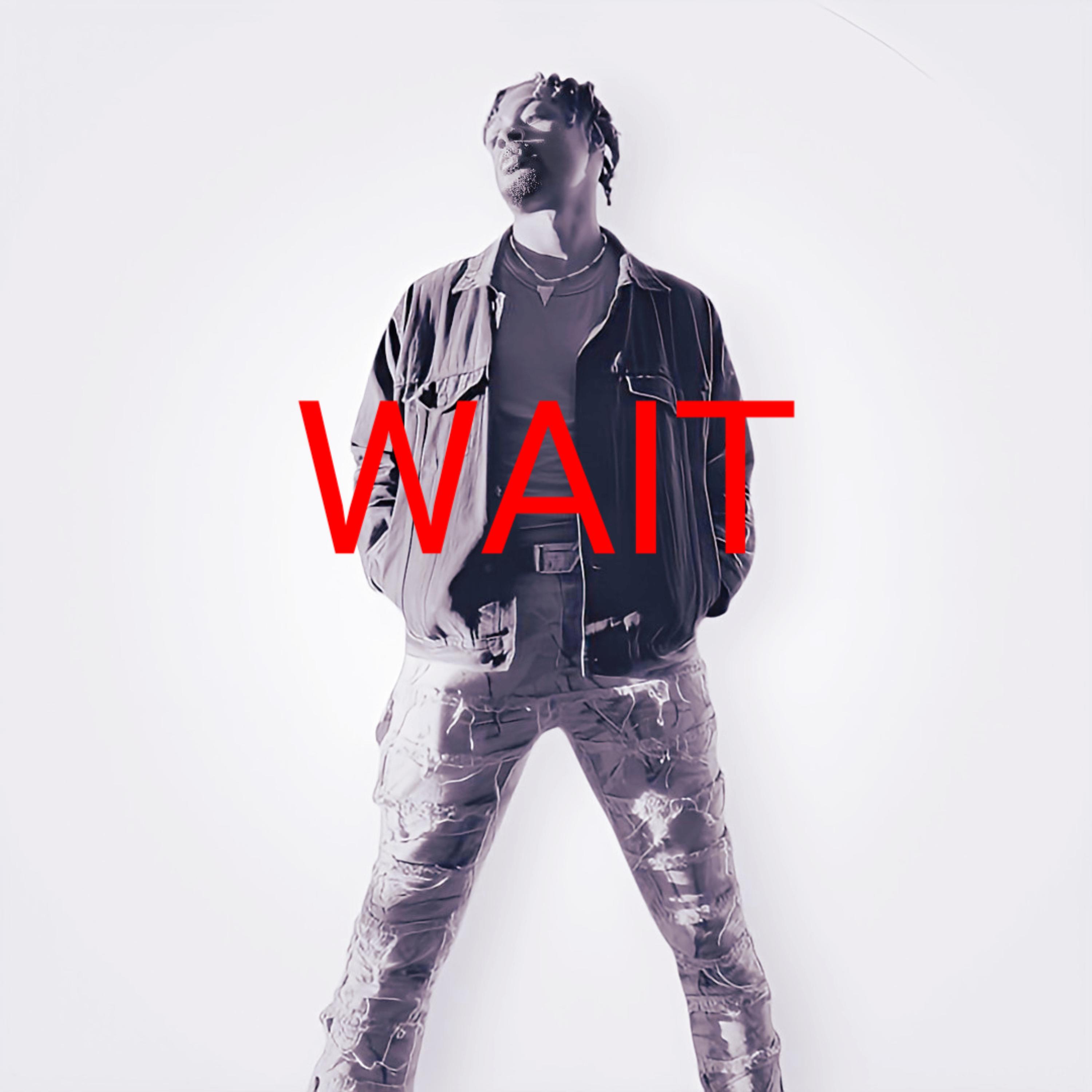 WAIT artwork