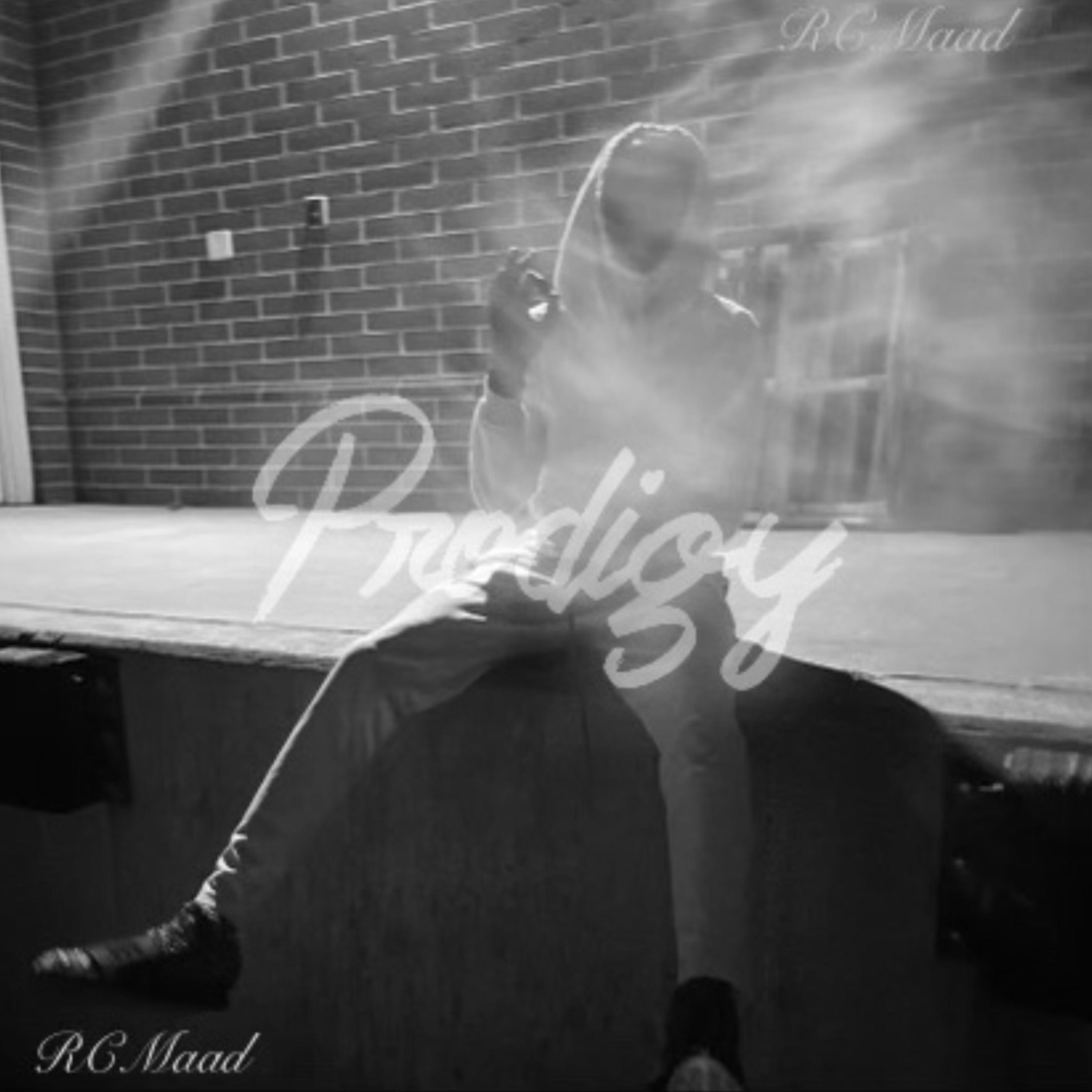 Prodigy artwork