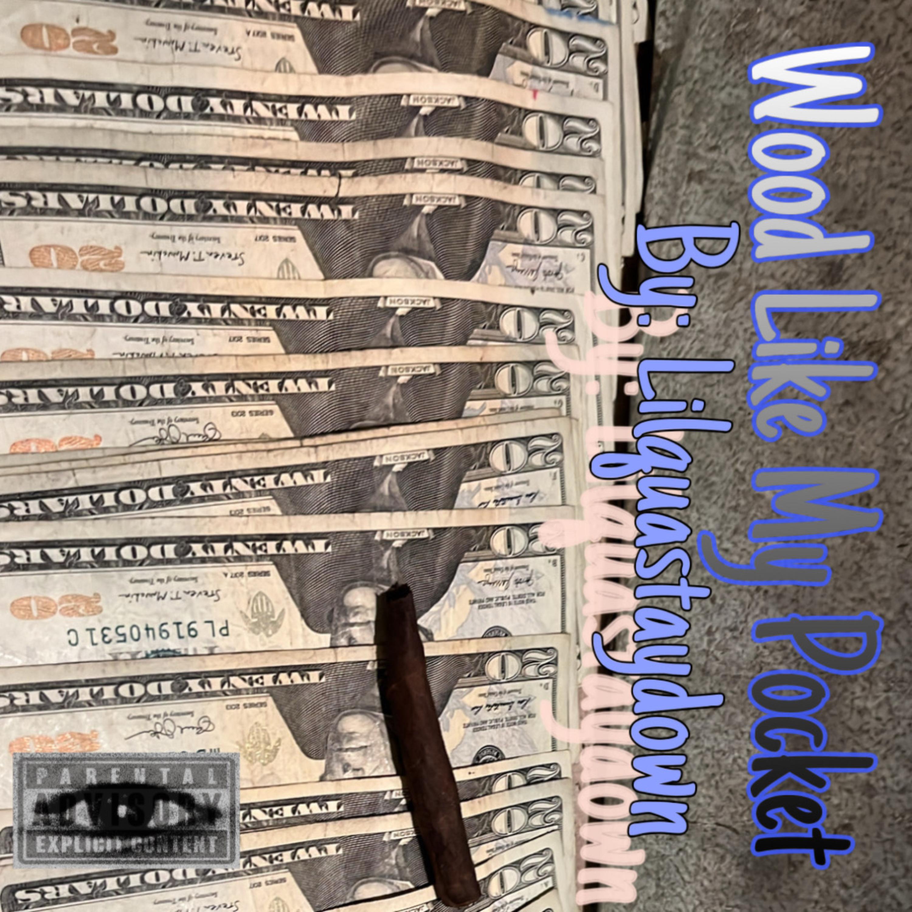 Wood Like My Pocket artwork