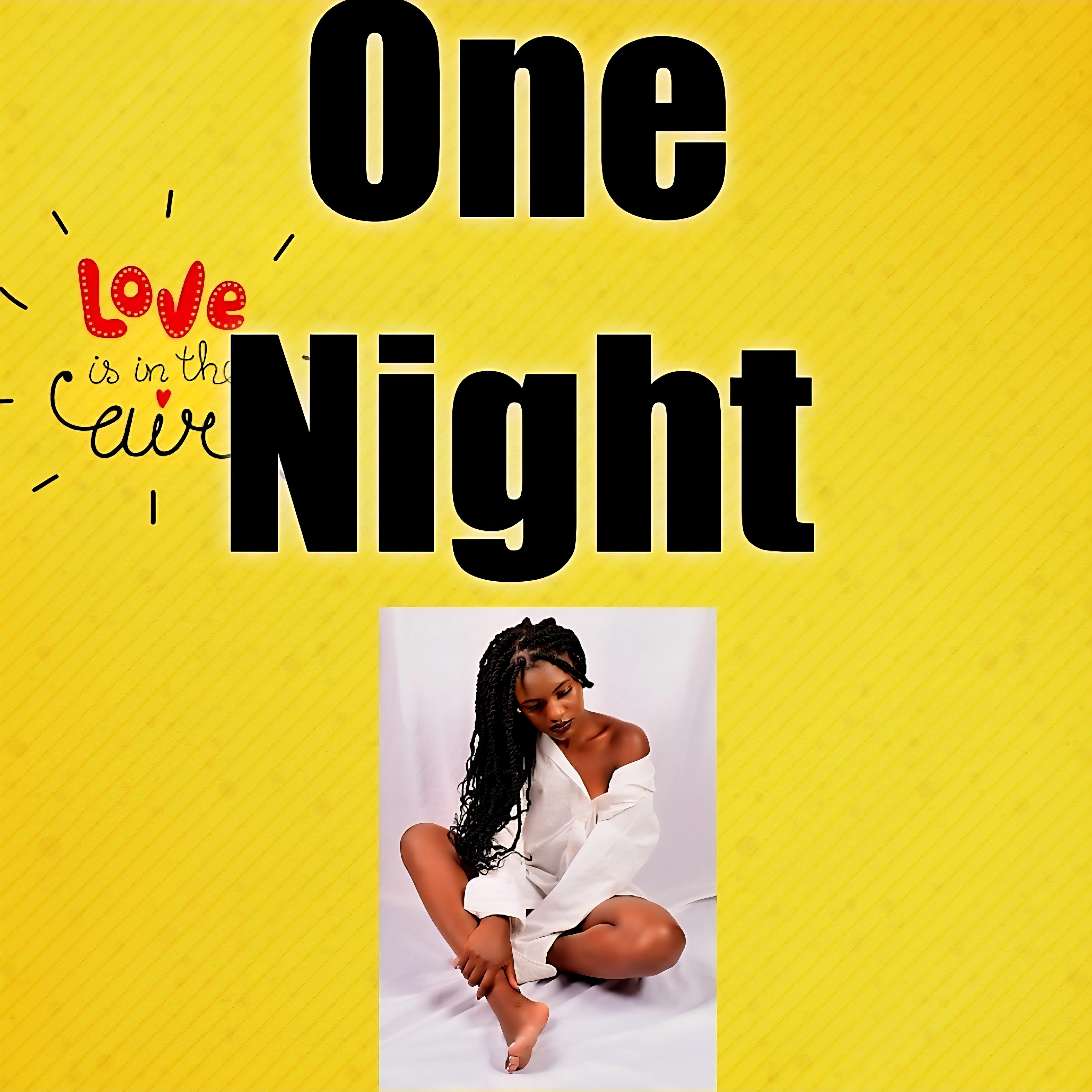 ONE NIGHT artwork