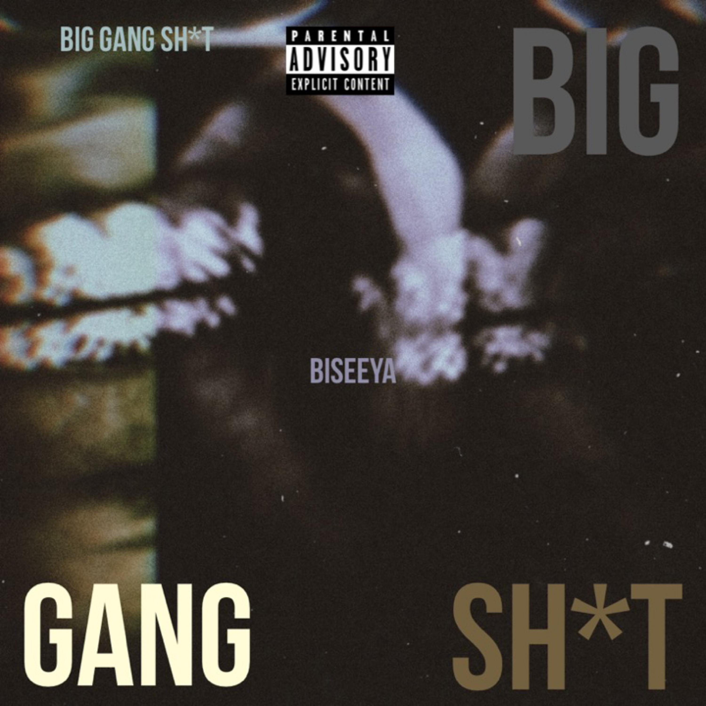 Big Gang Sh*t artwork
