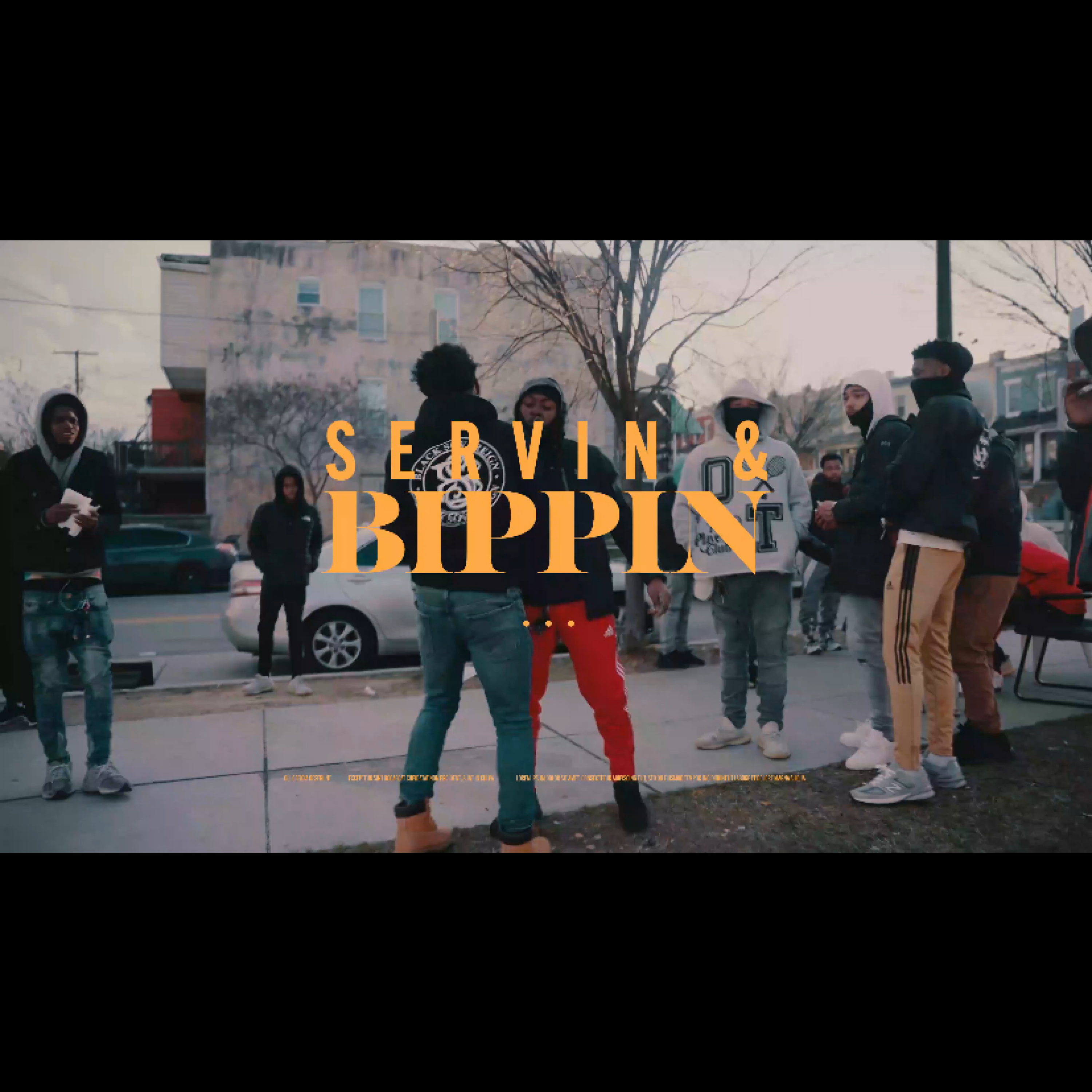 Servin&bippin artwork