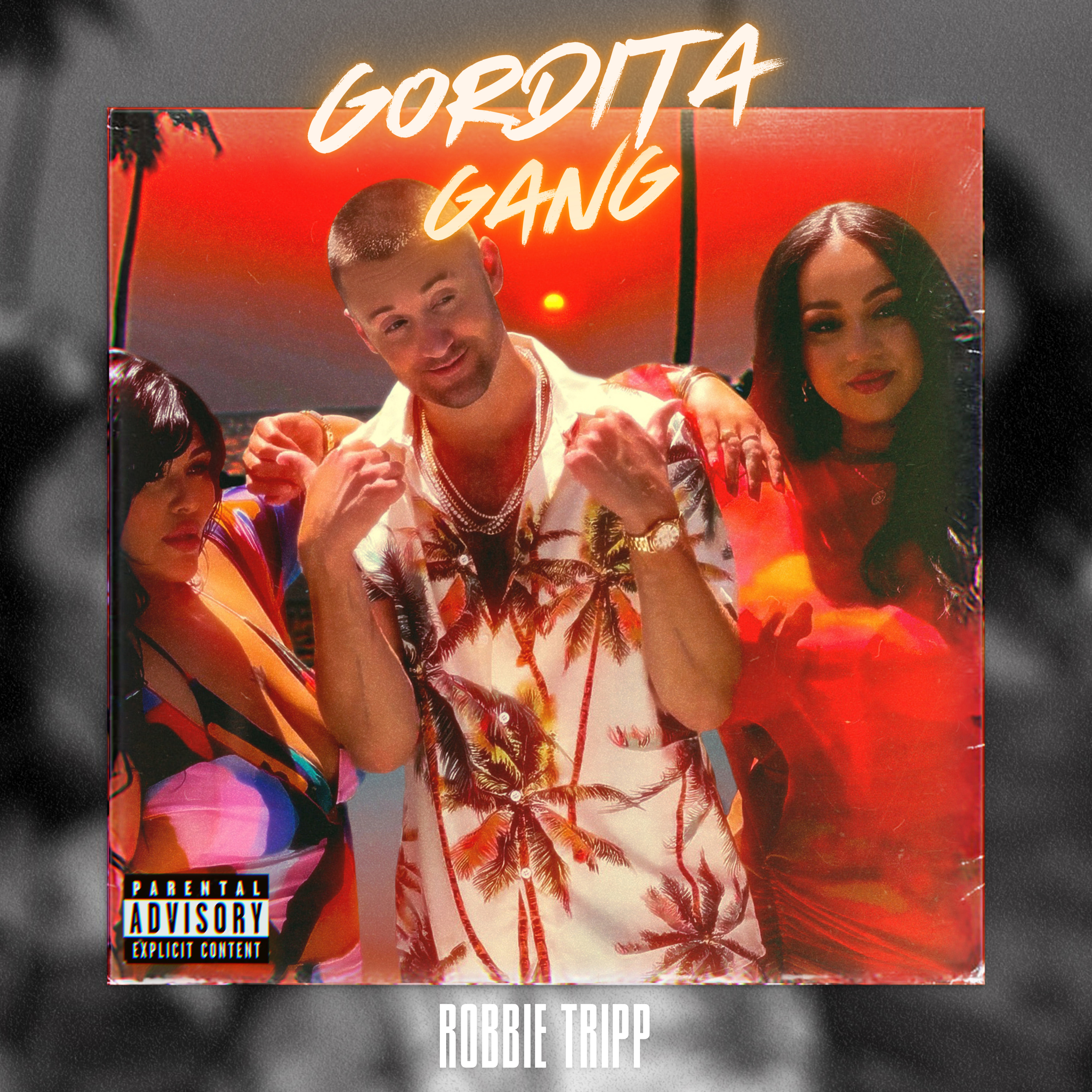 GORDITA GANG artwork