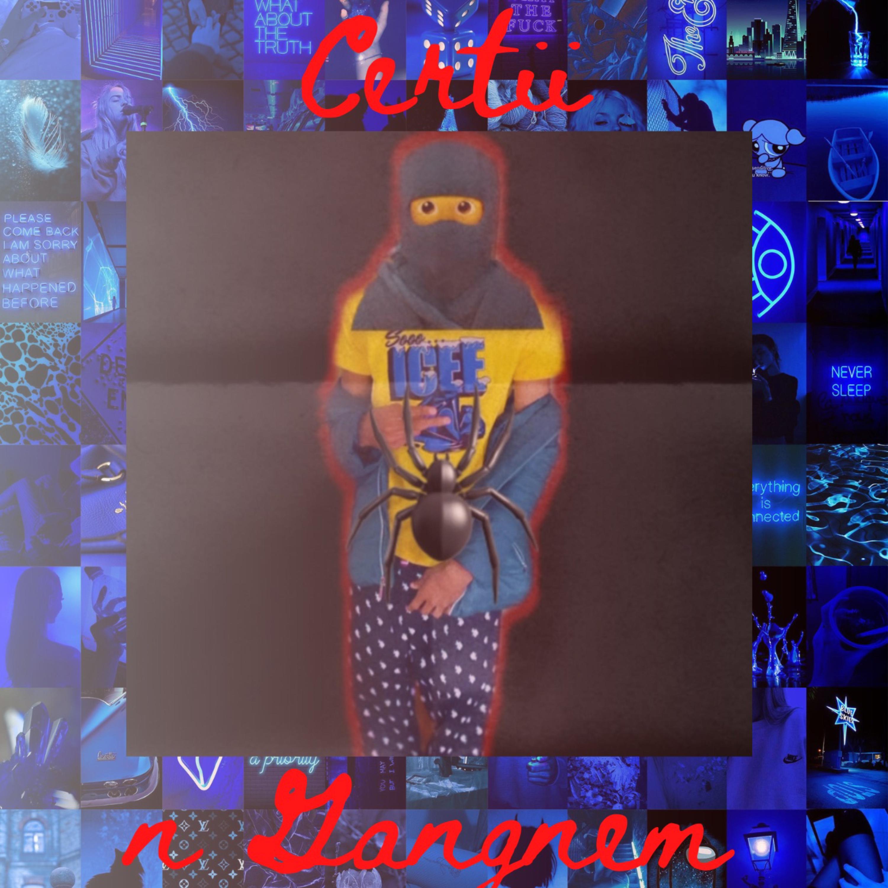 Certii n Gangnem artwork