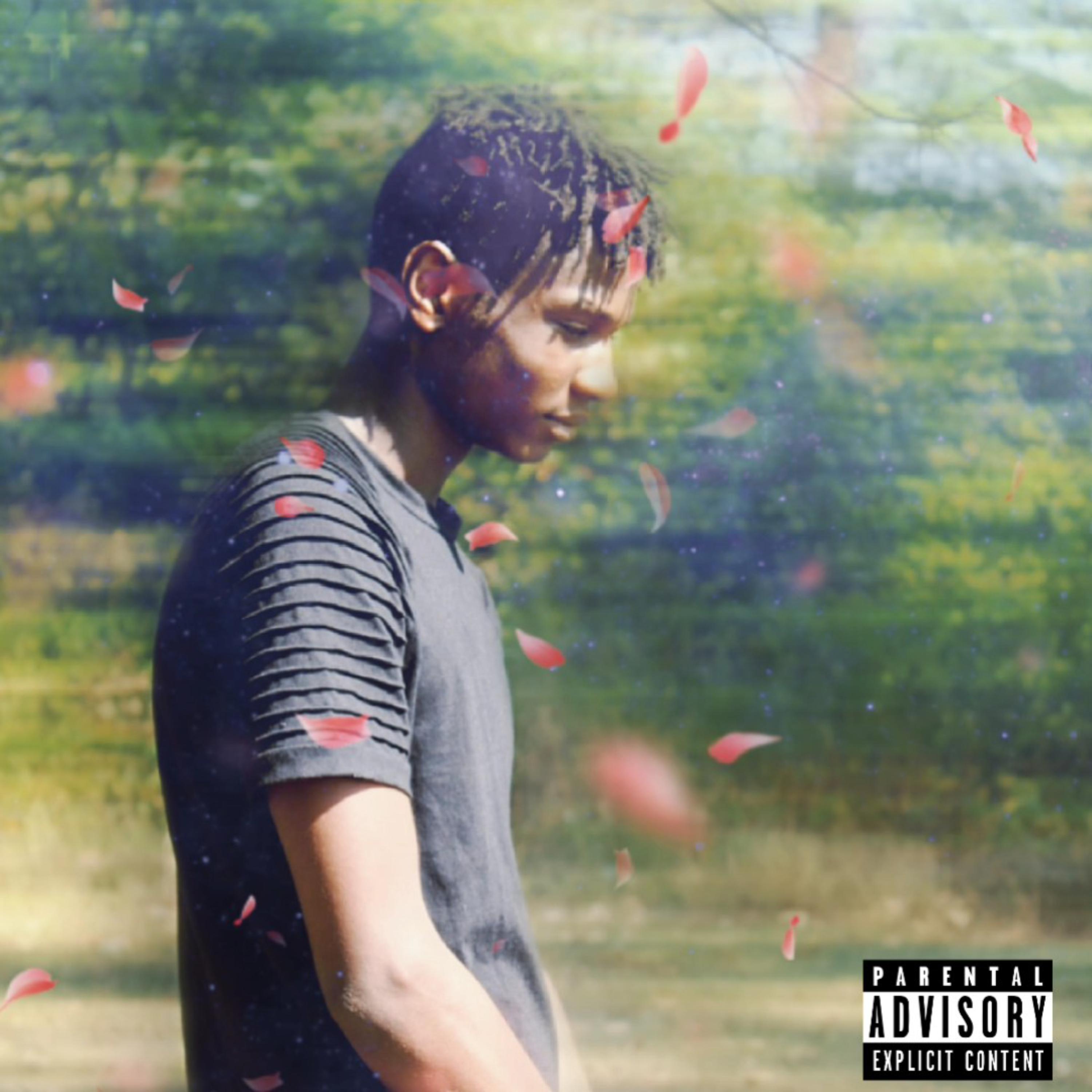 DRIP artwork