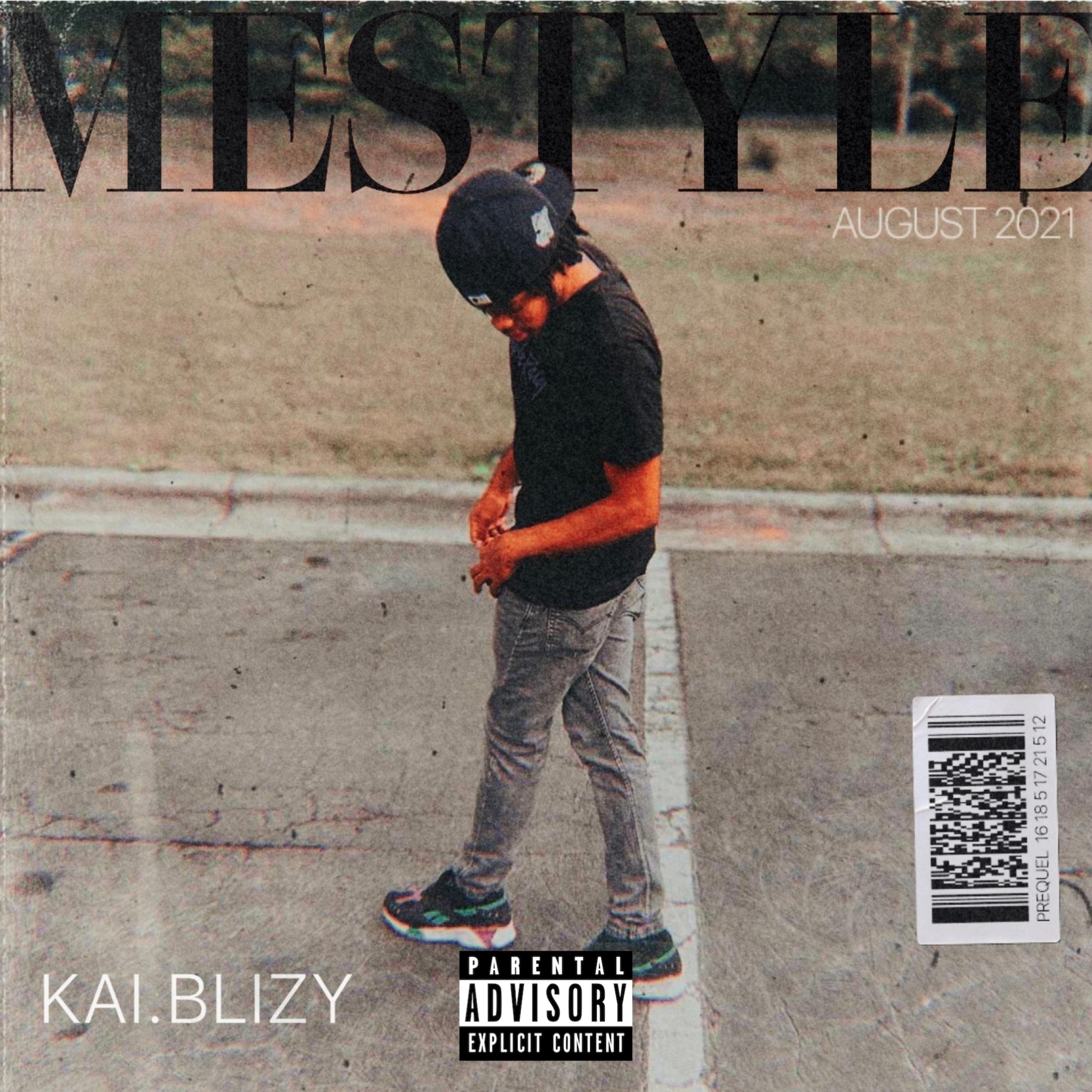 MESTYLE artwork