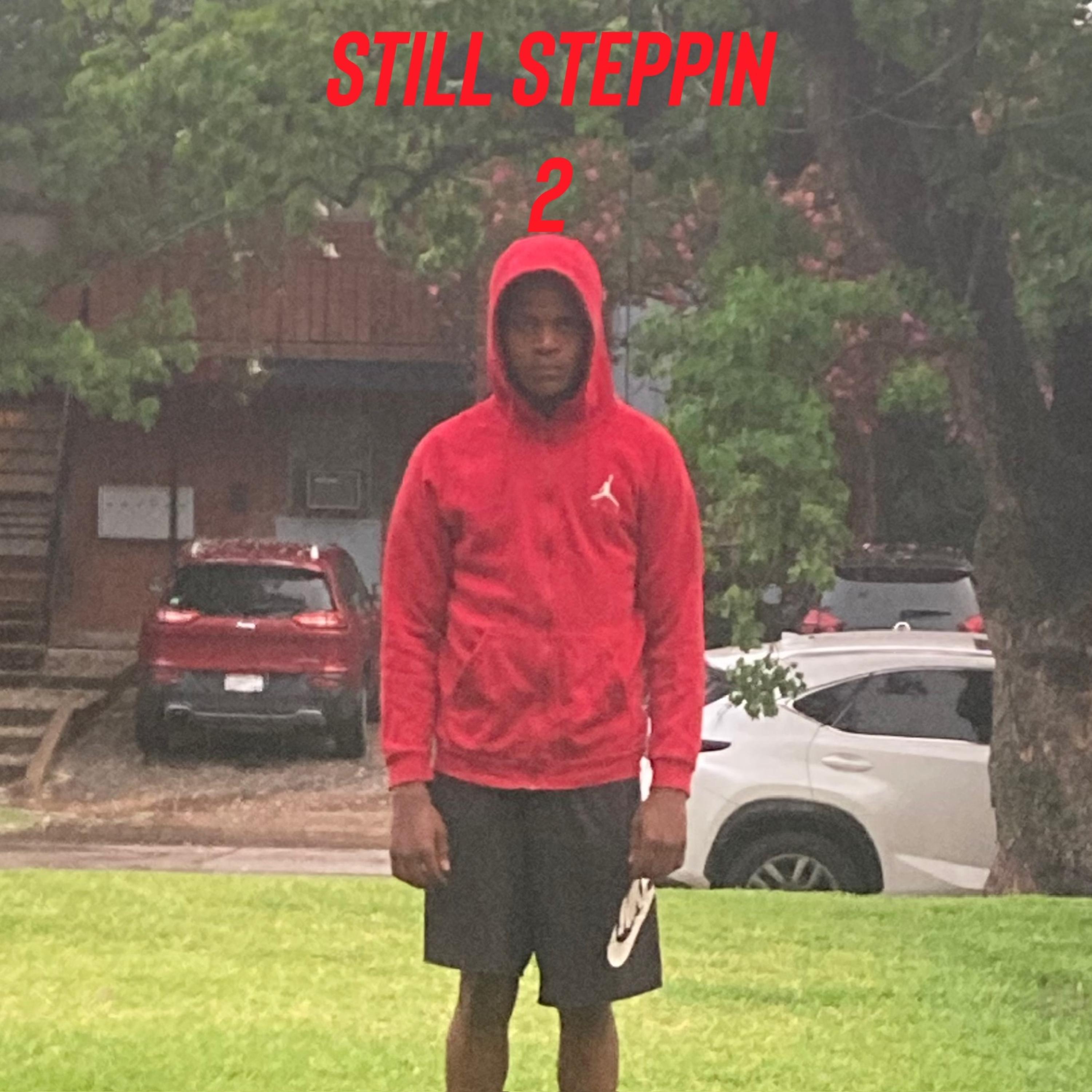 Still Steppin 2 artwork