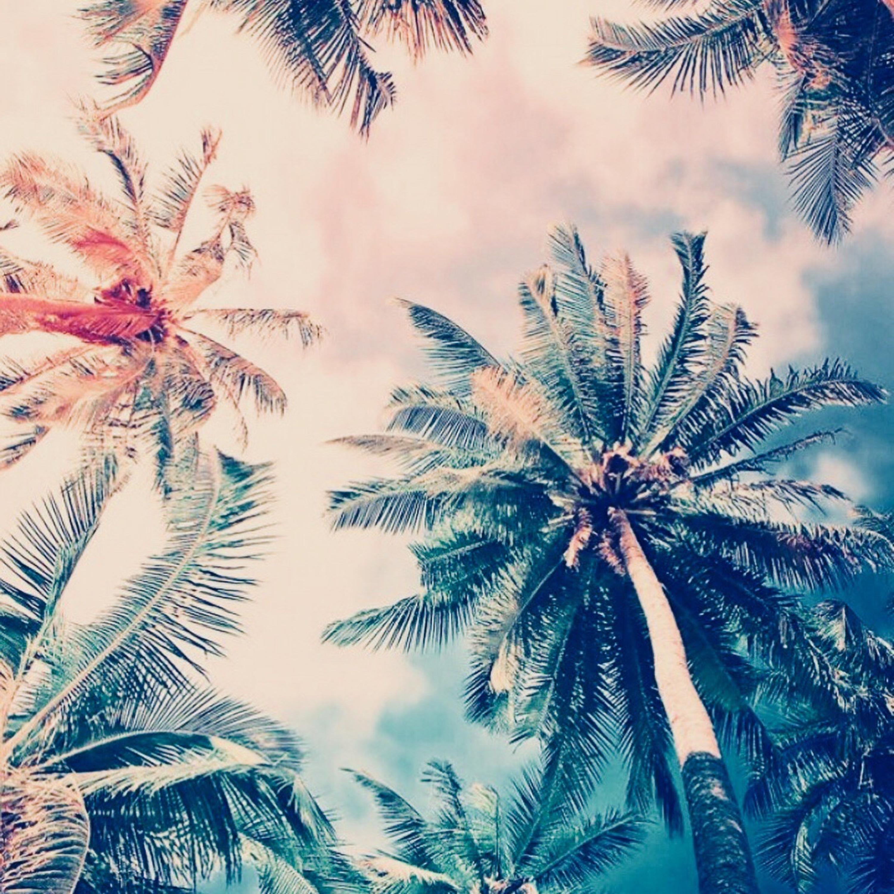 Uncomfortable Love artwork