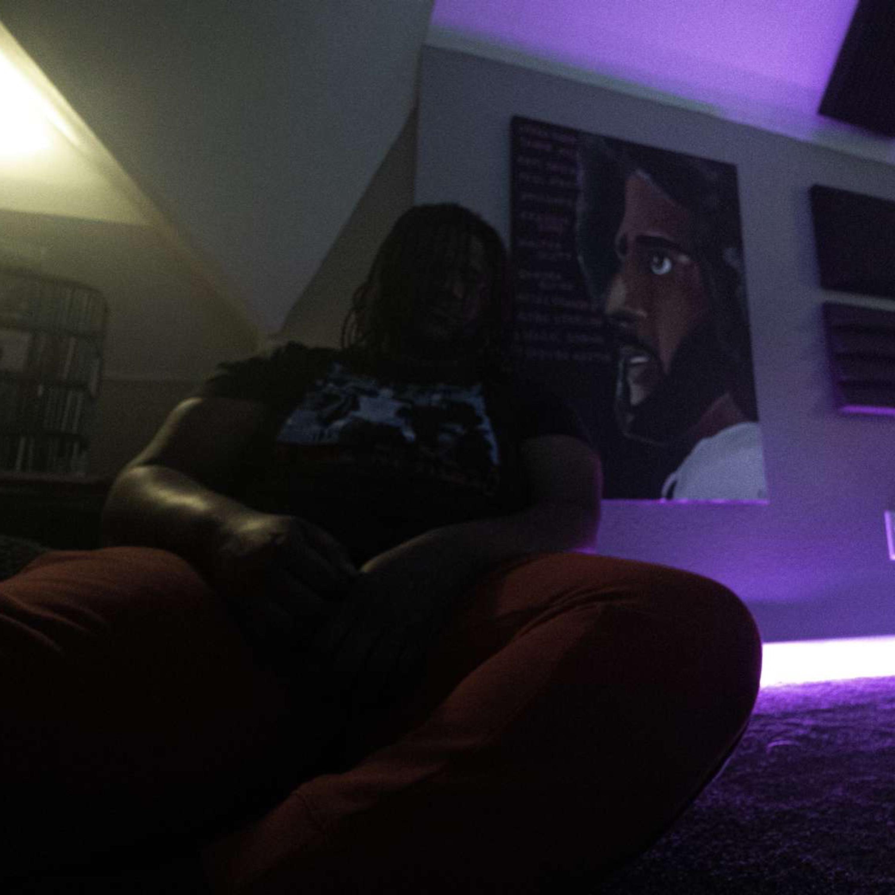 Pink Baguettes artwork