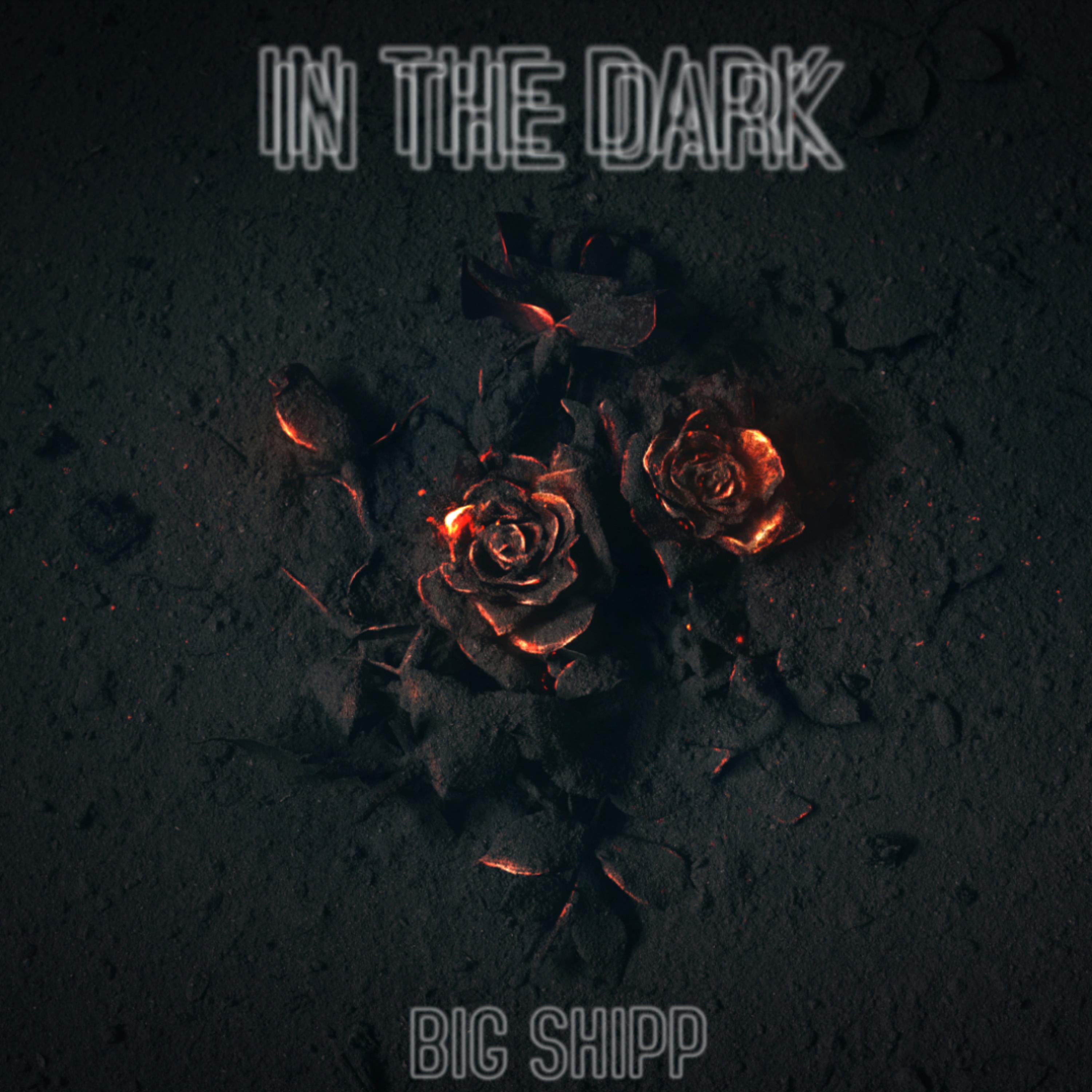 IN THE DARK artwork
