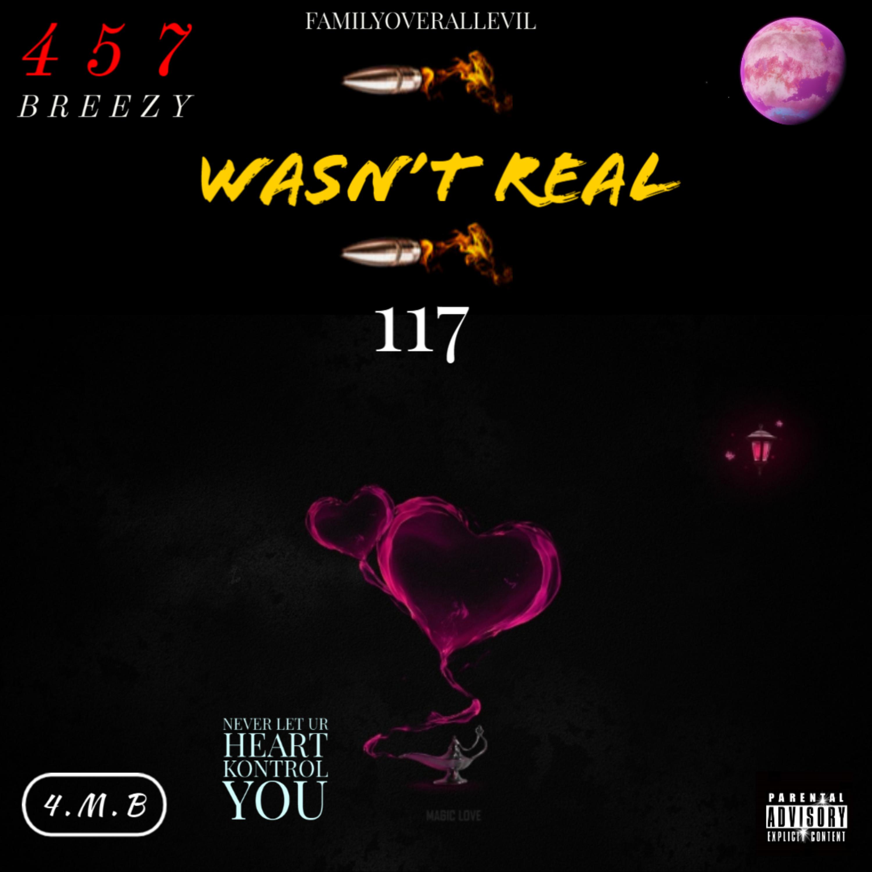 WASN'T REAL 117 artwork