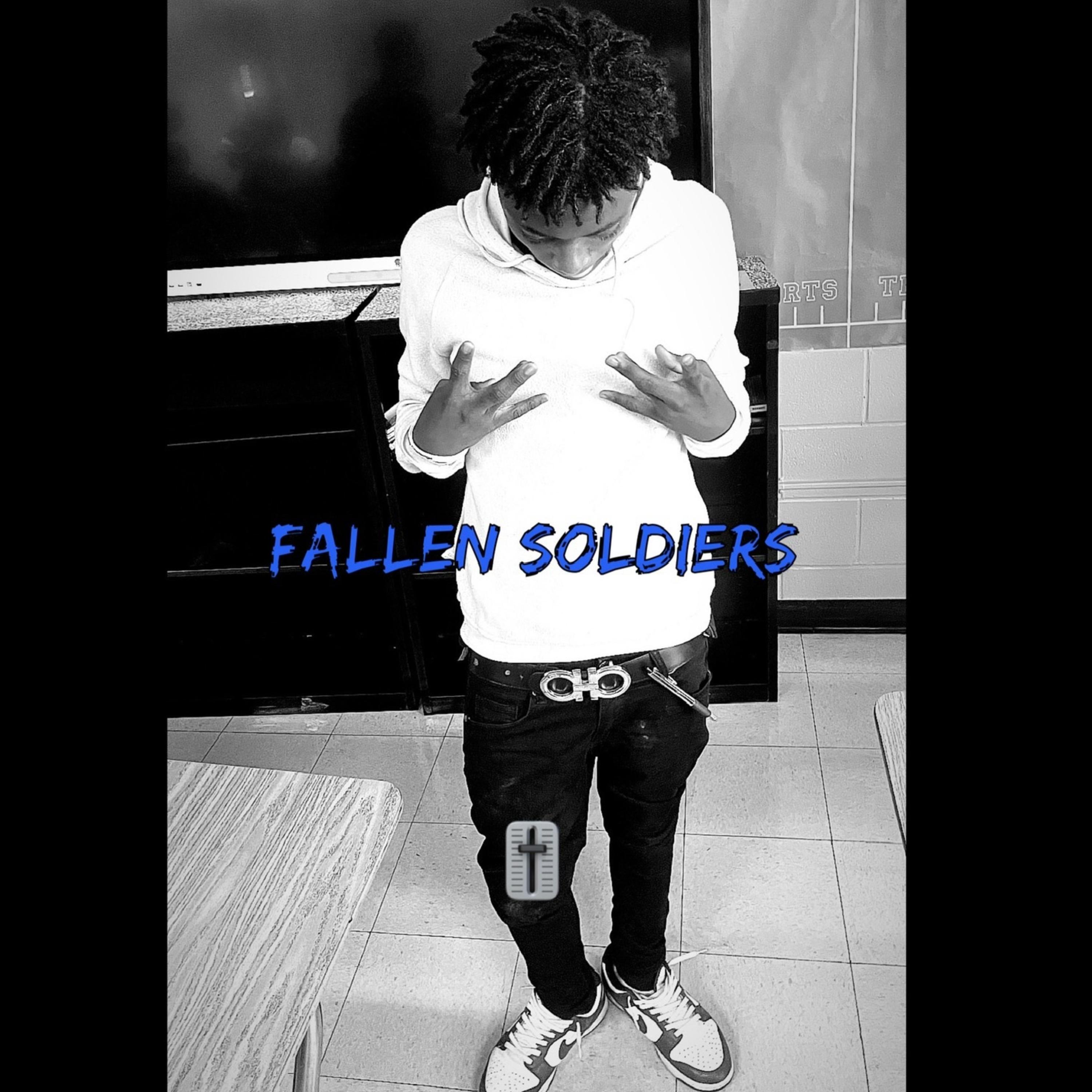 Fallen soldiers artwork
