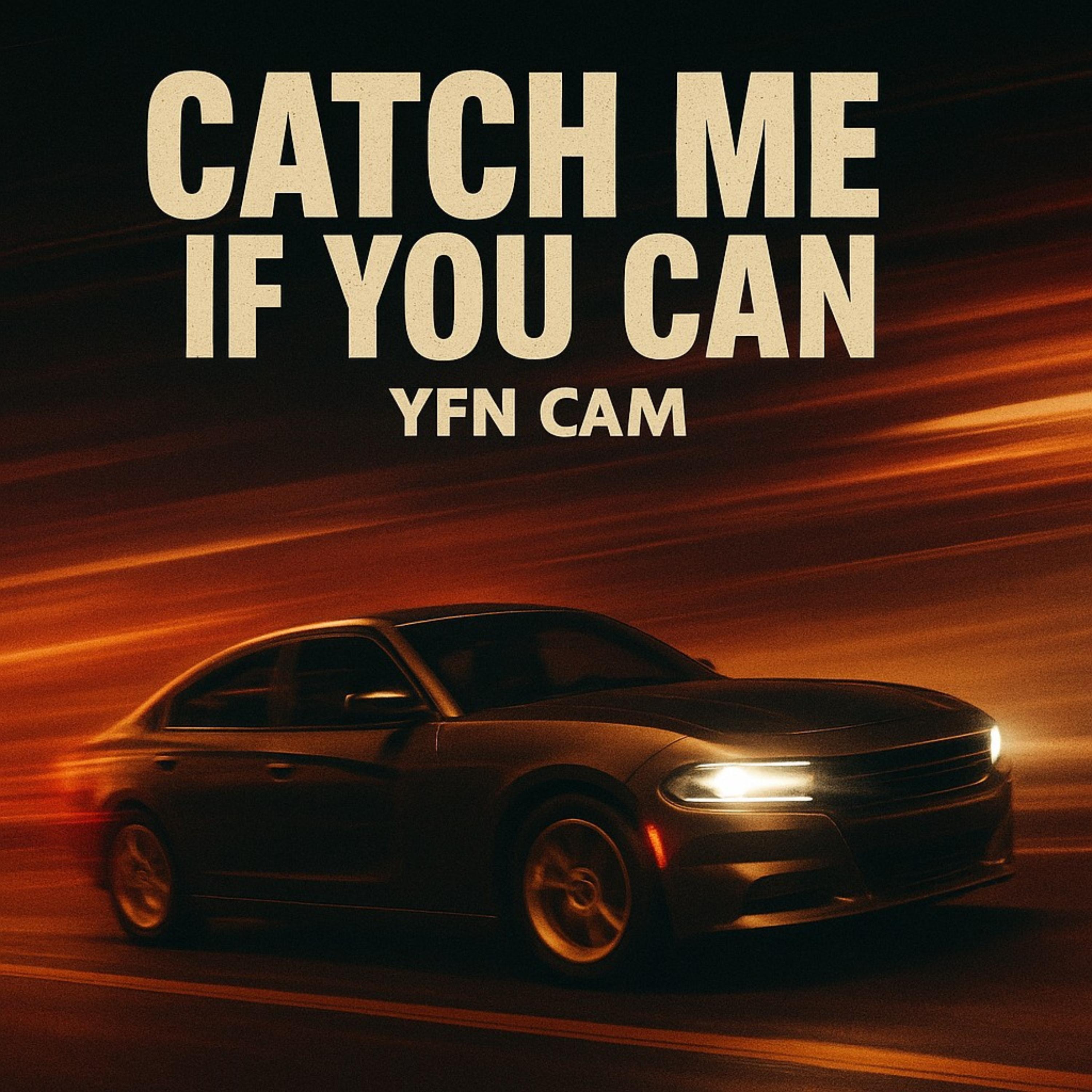 Catch Me if You Can artwork