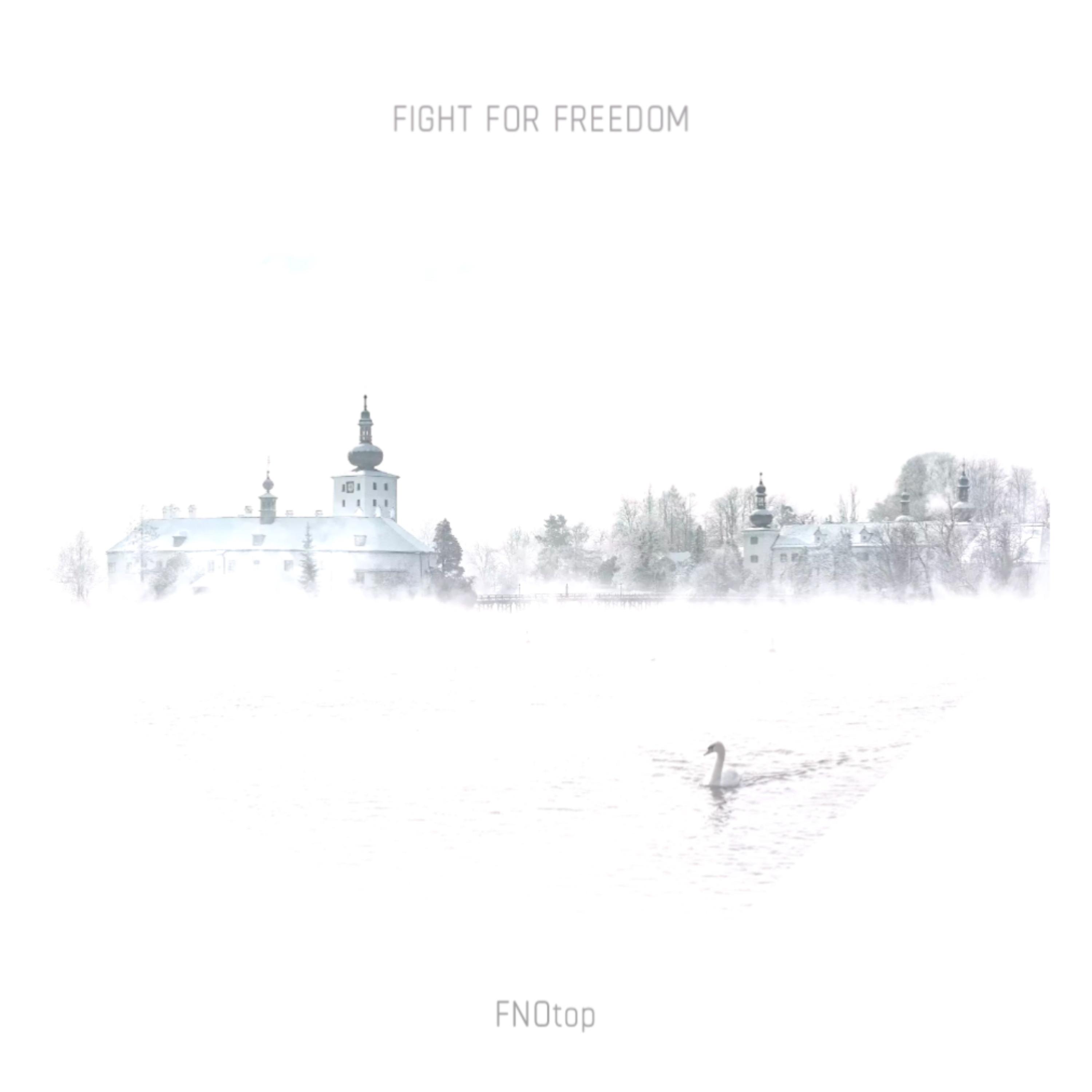 FIGHT FOR FREEDOM artwork