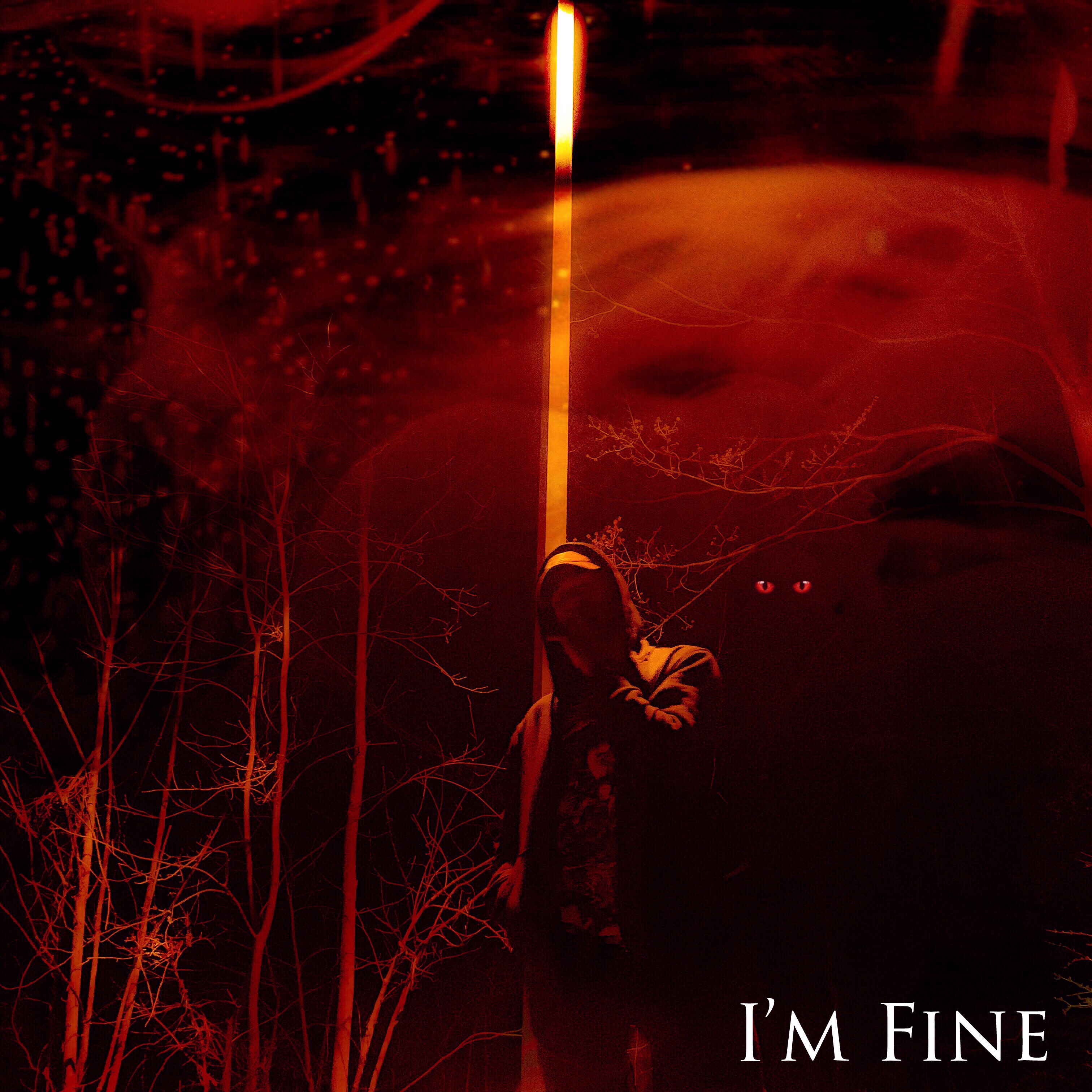 Im Fine by JJH cover art