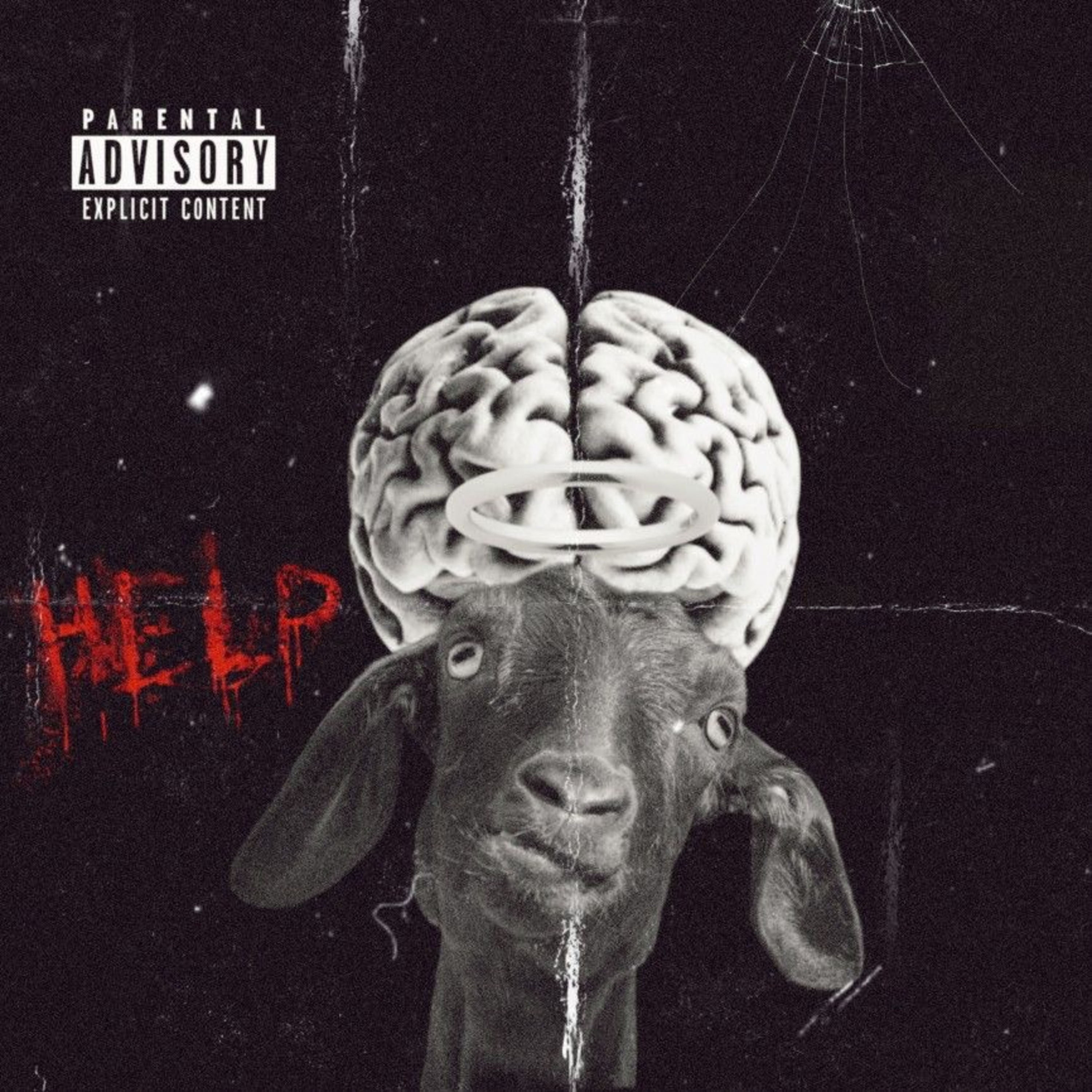 HELP artwork