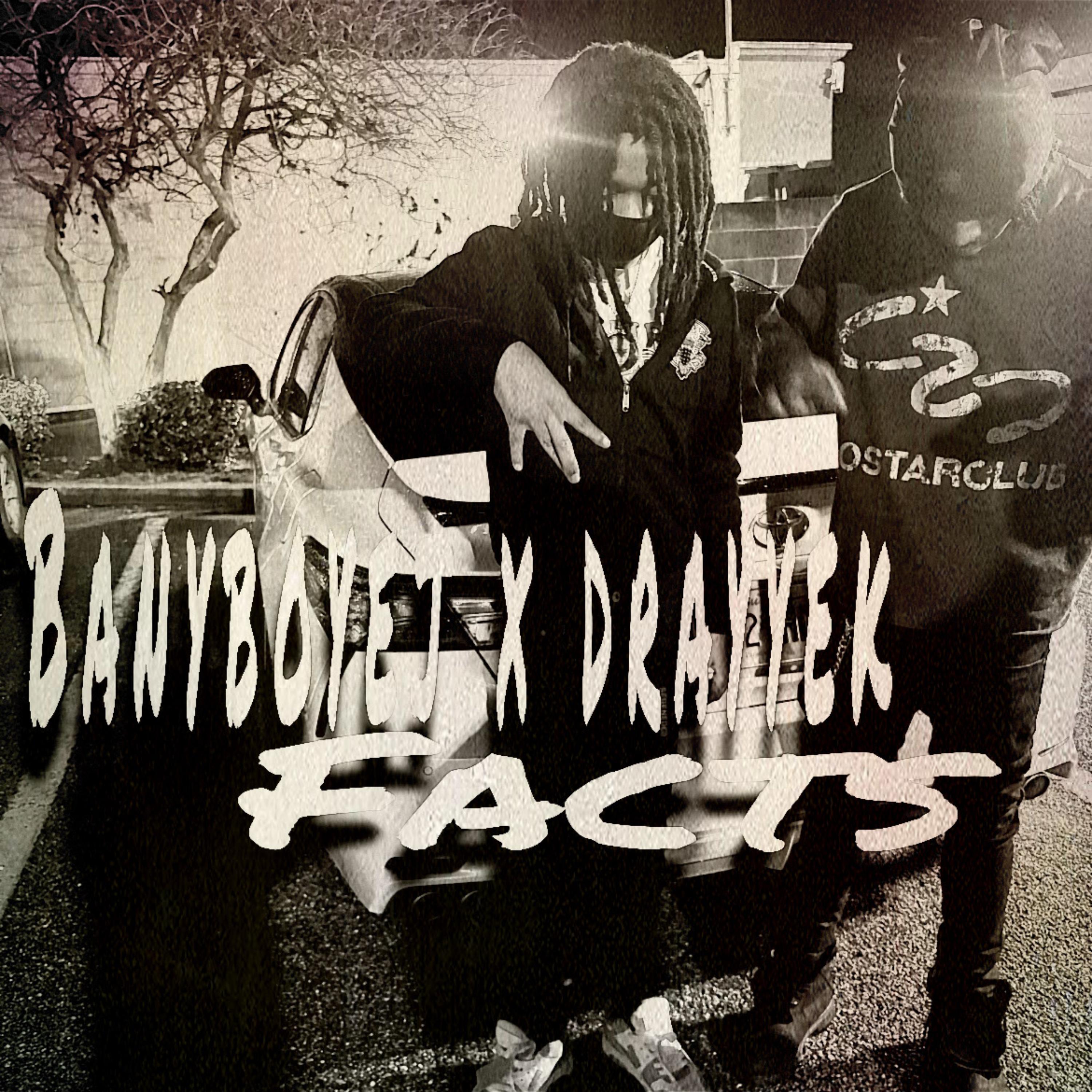 Facts artwork