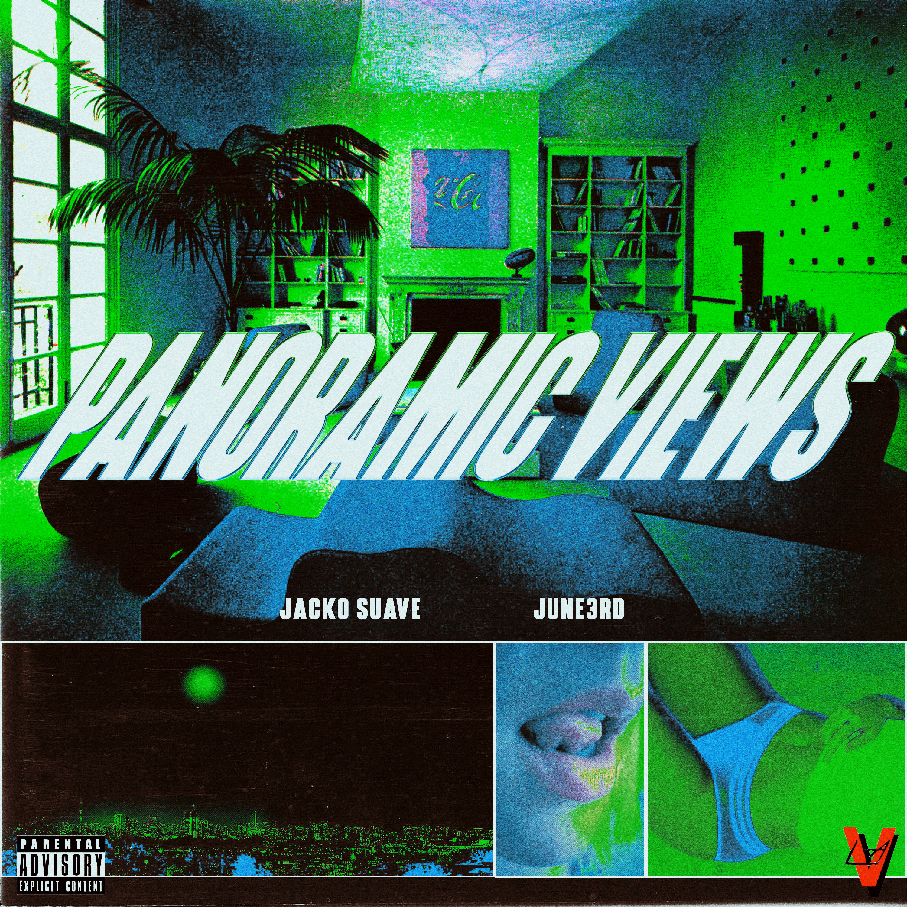 Panoramic Views artwork