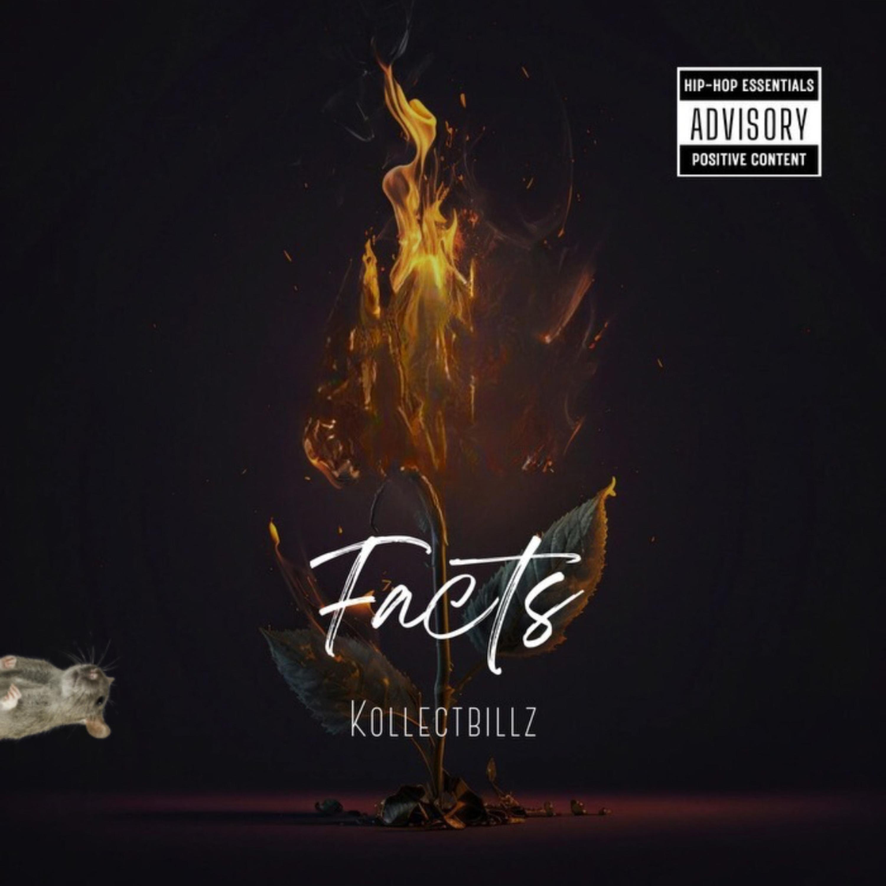 Factz artwork