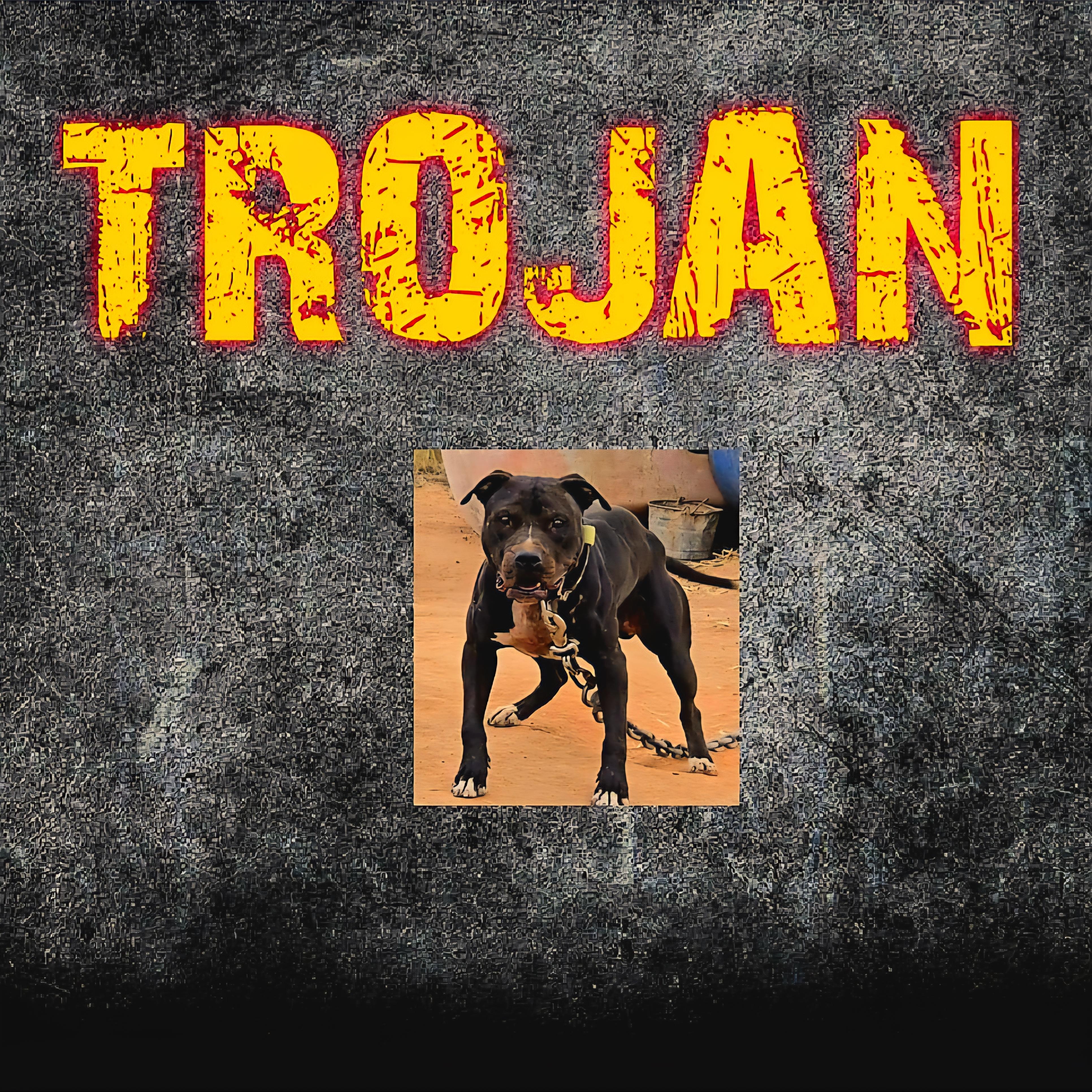 TROJAN artwork