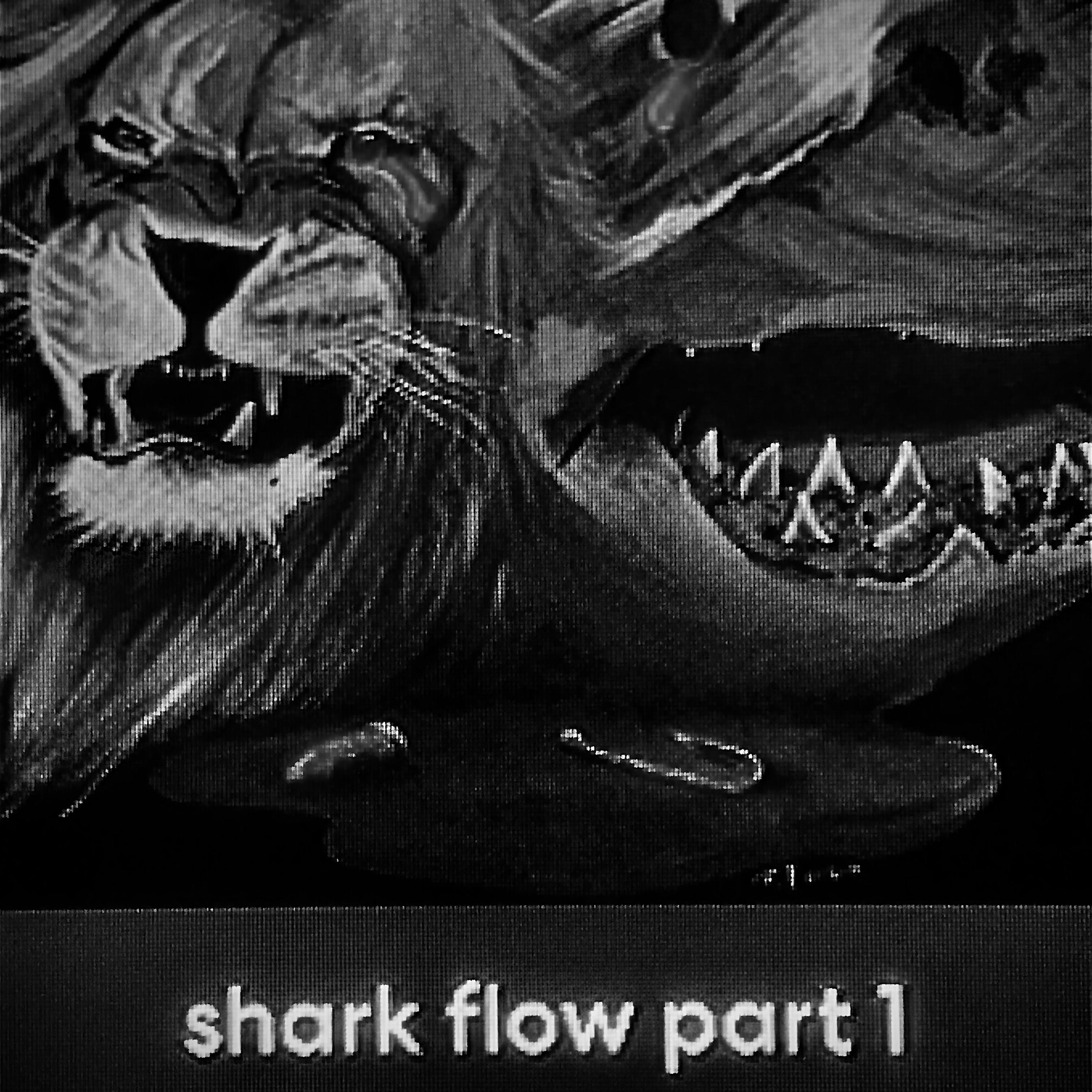 Shark Flow Part 1 artwork