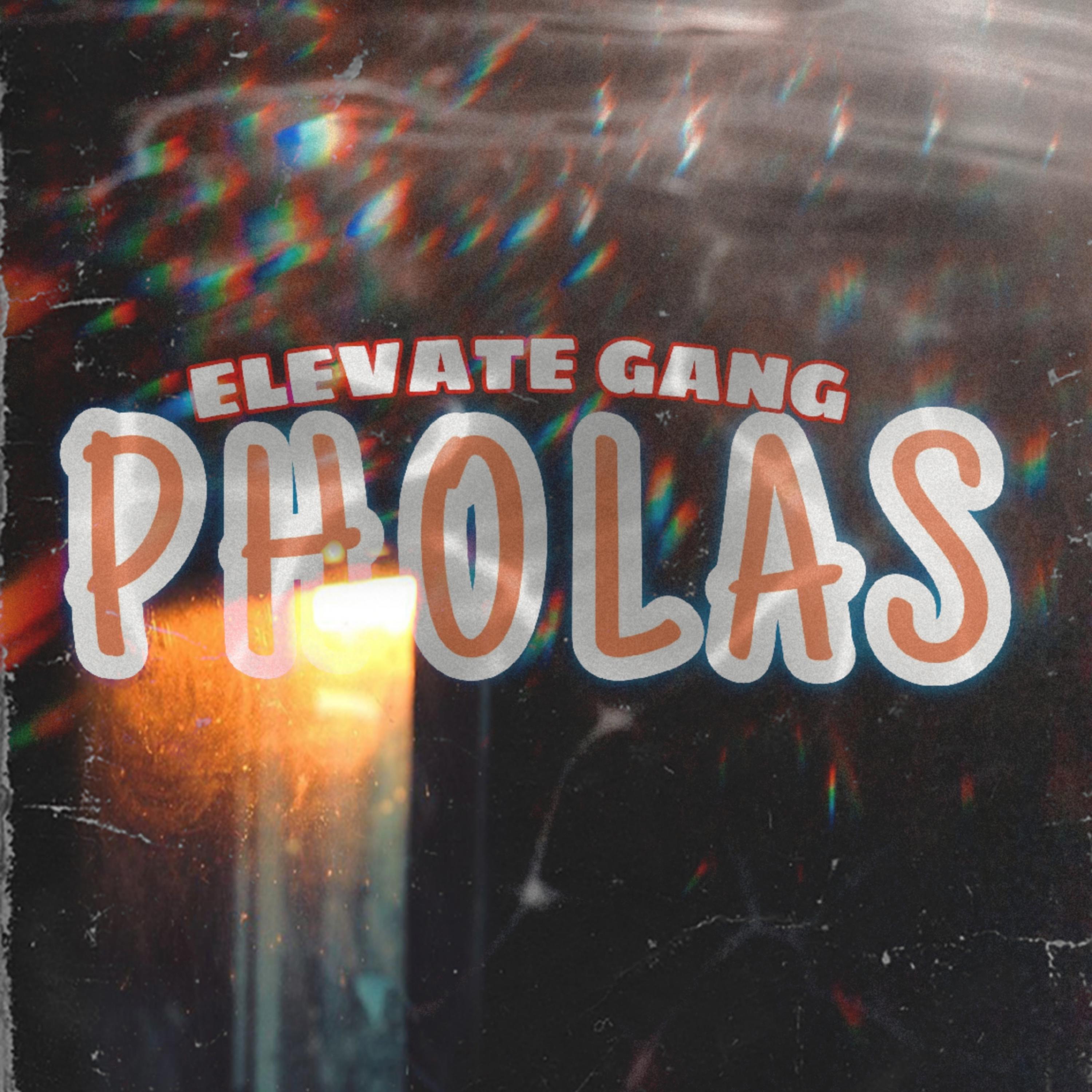 Pholas artwork
